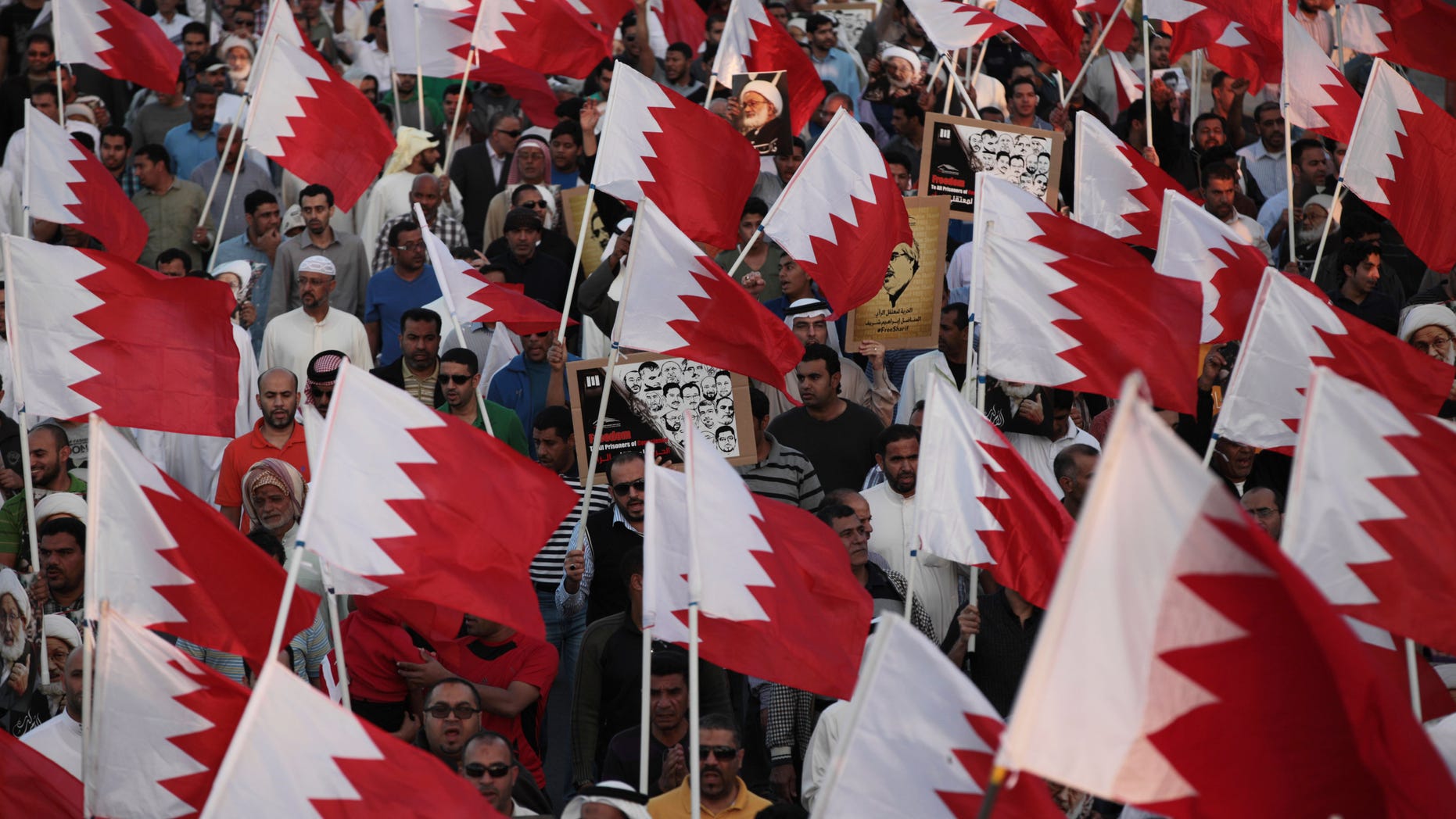 Bahraini anti-government protesters wave national flags and carry signs with images of jailed political leaders demanding their freedom, during a march Friday, Jan 3, 2014, in the northern village of Barbar, Bahrain. Thousands shouted "down with the government" during the march called by several opposition societies seeking democracy in the Gulf island kingdom. (AP Photo/Hasan Jamali)