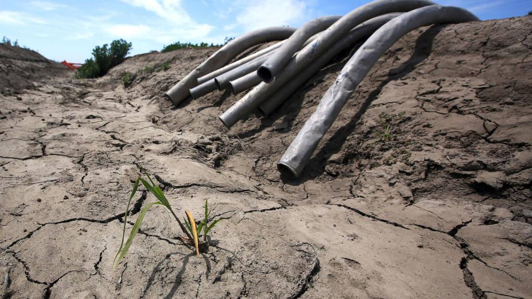 FILE - In this May 18, 2015 file photo, irrigation pipes sit along a dry irrigation canal on a field near Stockton, Calif. Government weather forecasters said Thursday, Nov. 10, 2016, that La Nina has arrived and may last through the winter. La Nina usually means wetter winters in the northern U.S. and drier conditions in the southern parts including drought-stricken California. (AP Photo/Rich Pedroncelli, File)
