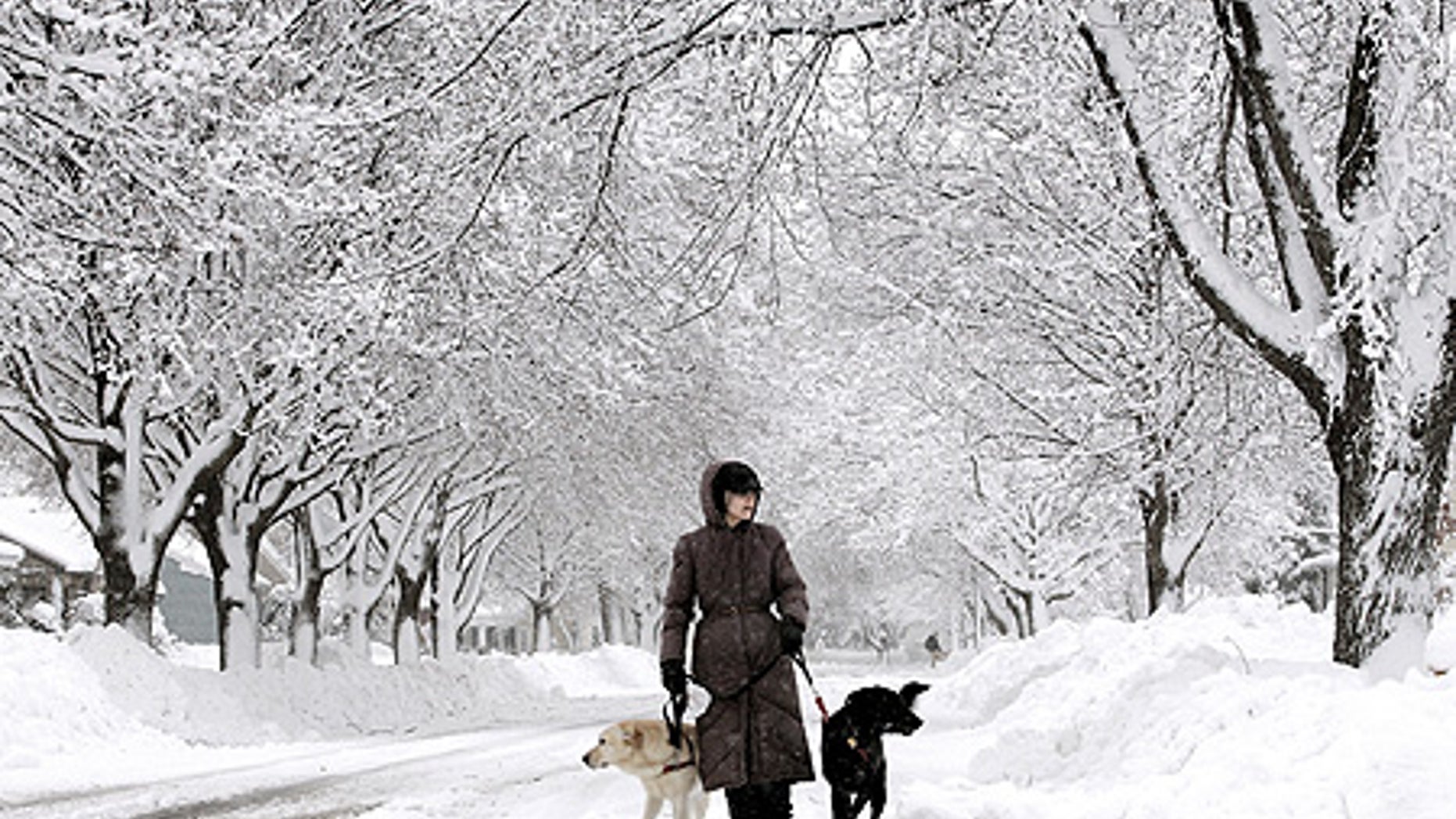Dec. 9: Karalee Briggs walks her dogs through the streets of Janesville, Wis., after a storm dropped more than a foot of snow on the city.