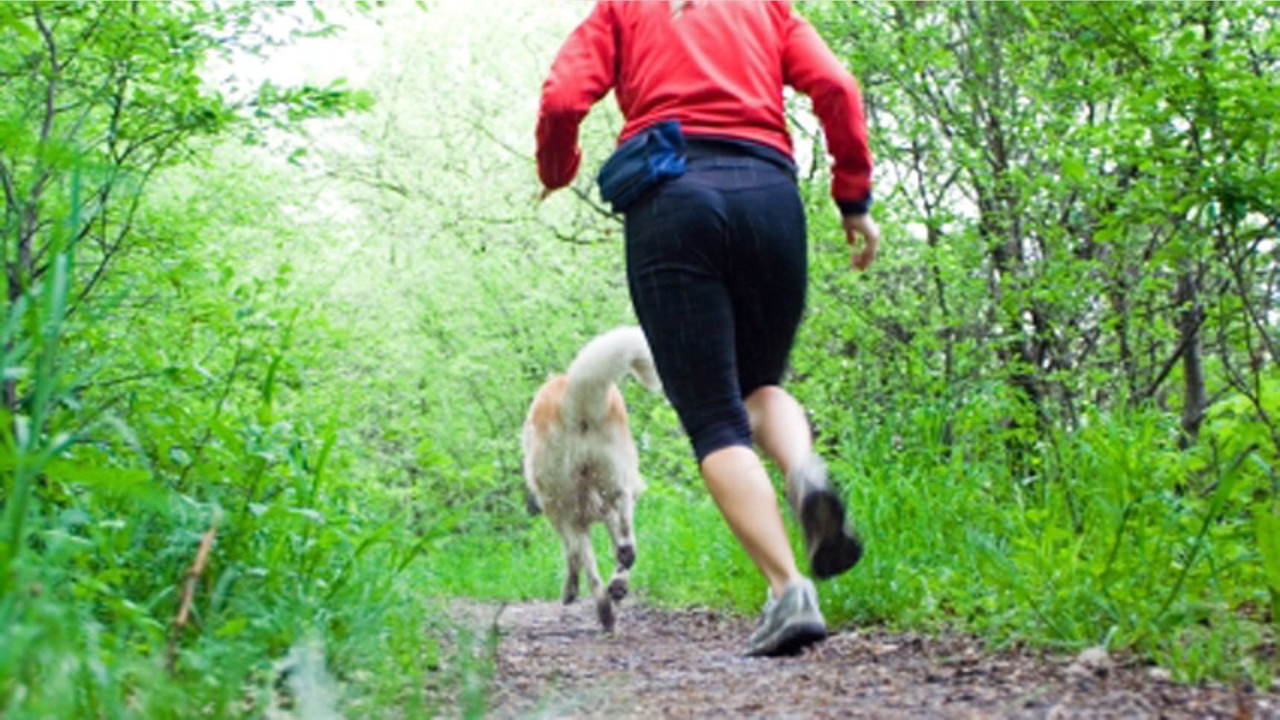 Woman running with akita dog in summer forest, motion blur