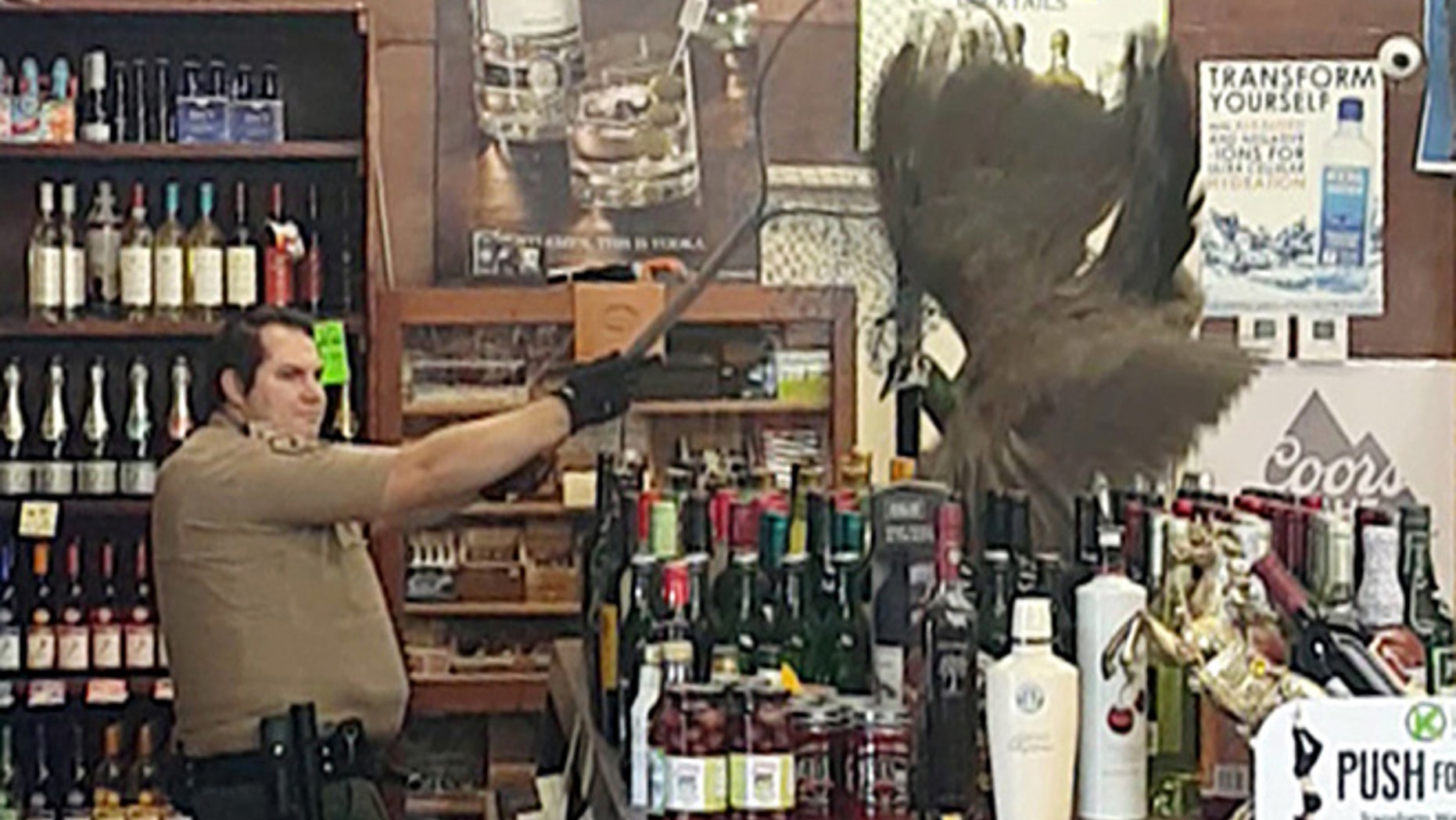 In this Monday, June 5, 2017 image made from cellphone video provided by Rani Ghanem, bottles tumble as an animal control officer attempts to net a female peacock that wound up inside the Royal Oaks Liquor Store in Arcadia, Calif.