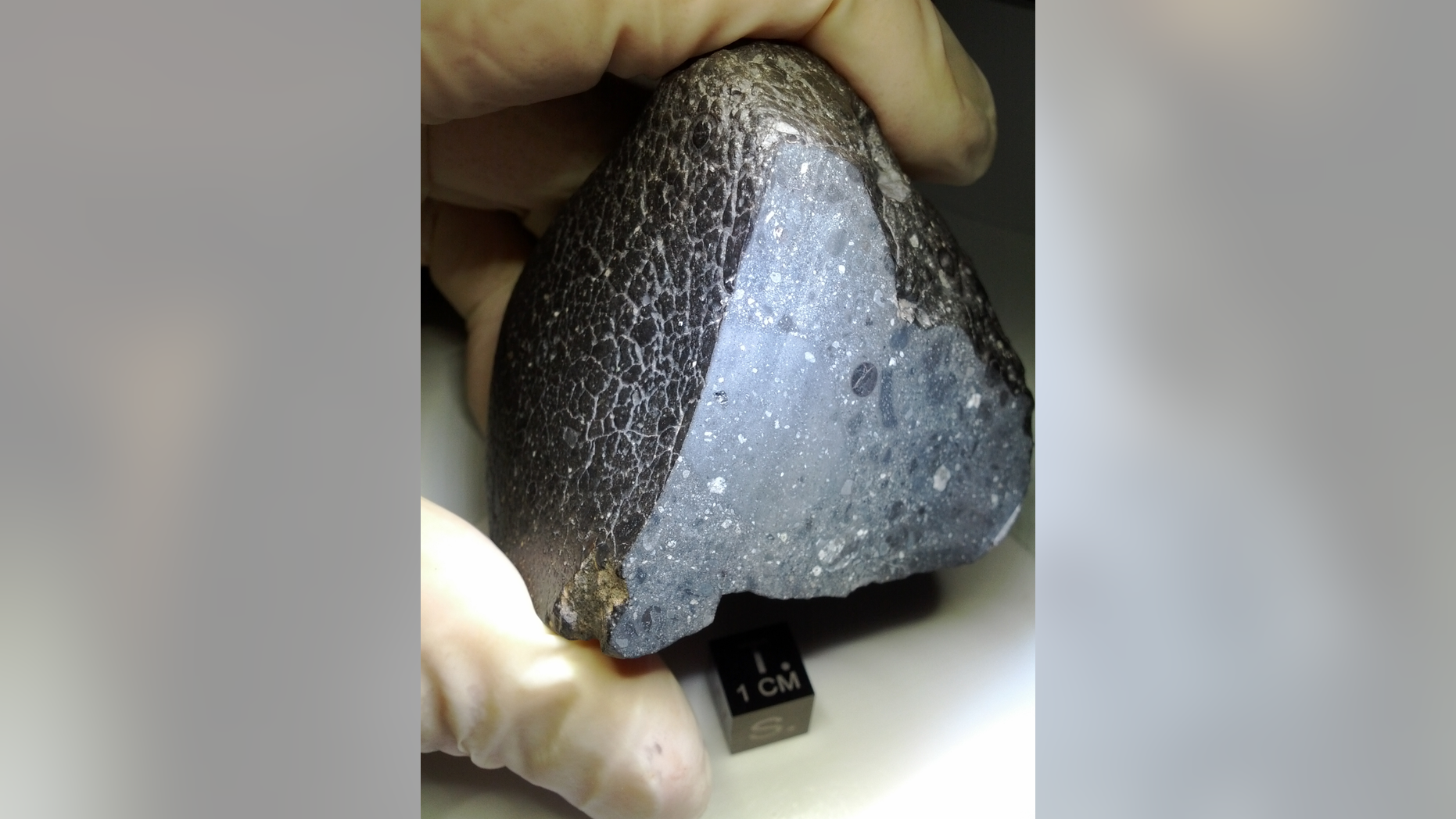 Basaltic meteorites are common in the Solar System. This example from Mars — called North-West Africa (NWA) 7034, nicknamed "Black Beauty" — has a relatively large amount of water in it.