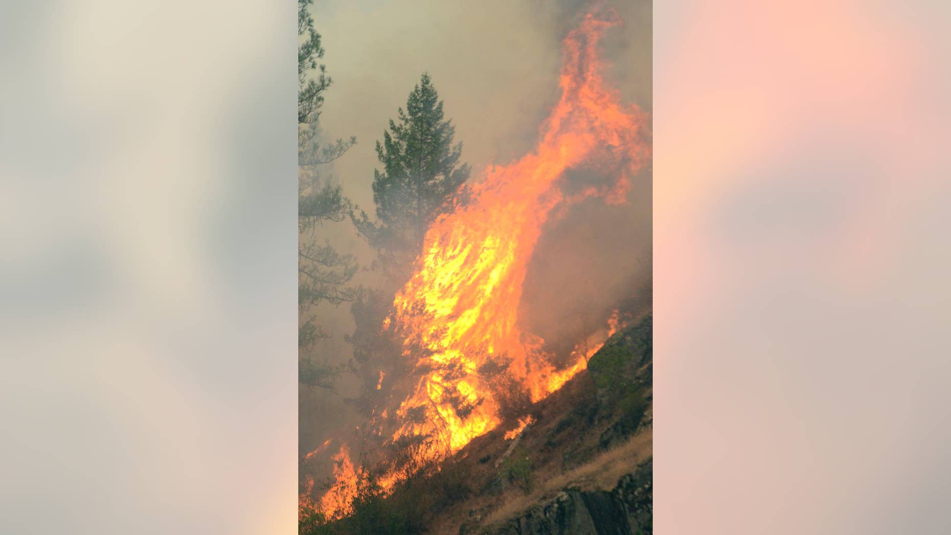 Fire consumes trees along the Clearwater River in north central Idaho on Saturday, Aug. 15, 2015, part of the Lawyer complex of wildfires caused by lightning earlier in the week. (Barry Kough/Lewiston Tribune via AP) MANDATORY CREDIT MBO