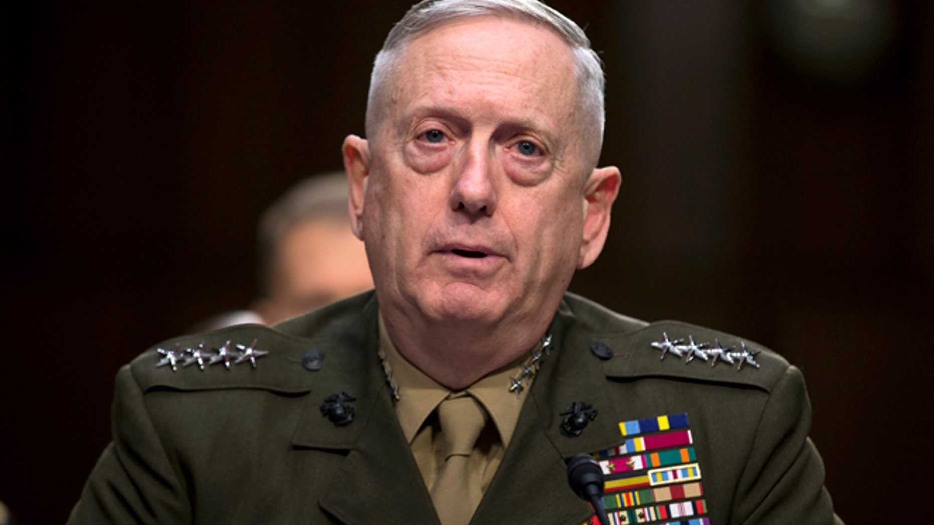 FILE -- FLE - In this March 5, 2013, file photo, then-Marine Gen. James Mattis, commander, U.S. Central Command, testifies on Capitol Hill in Washington.