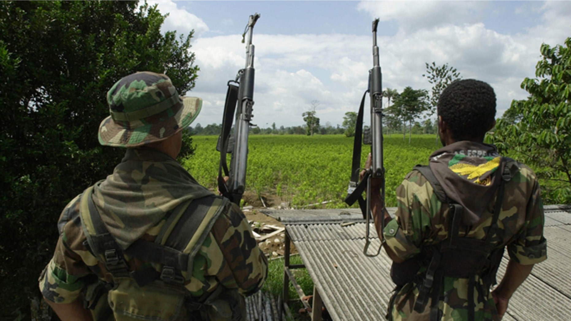 384090 01: ***EXCLUSIVE*** Two members of the AUC, the United Self Defense Force of Colombia, the extreme right paramilitary group, patrol a coca leaf plantation where a manual eradication of the coca leaves has gone into effect January 8, 2001 in the province of Putumayo, Colombia. Since the U.S. aid plan for Colombia began last December 15, the AUC are manually destroying coca leaves with machetes in and around the vast areas of coca leaf plantations south of Putumayo. The Colombian leftist guerrilla group, the FARC, is attempting to take control of areas that were under their control, not more than a year ago. (Photo by Piero Pomponi/Newsmakers)