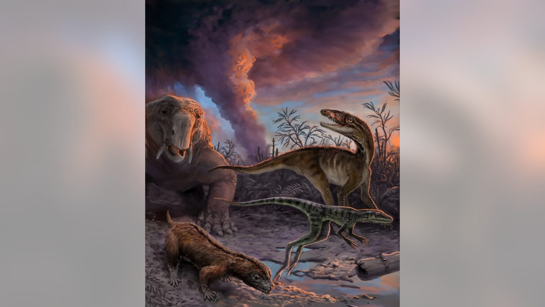 Animals escaping from an erupting volcano 235 million years ago in northwestern Argentina. These species, found as fossils in the Chañares Formation, include early mammal relatives (the dicynodont Dinodontosaurus in the left background, and the cynodont Massetognathus in the left foreground) and early dinosaur precursors (Lewisuchus in the right background, and Lagerpeton in the right foreground). By measuring radioactive isotopes in zircons crystals from the volcanic ash, scientists were able to determine the precise age of this fossil assemblage. (Victor Leshyk)