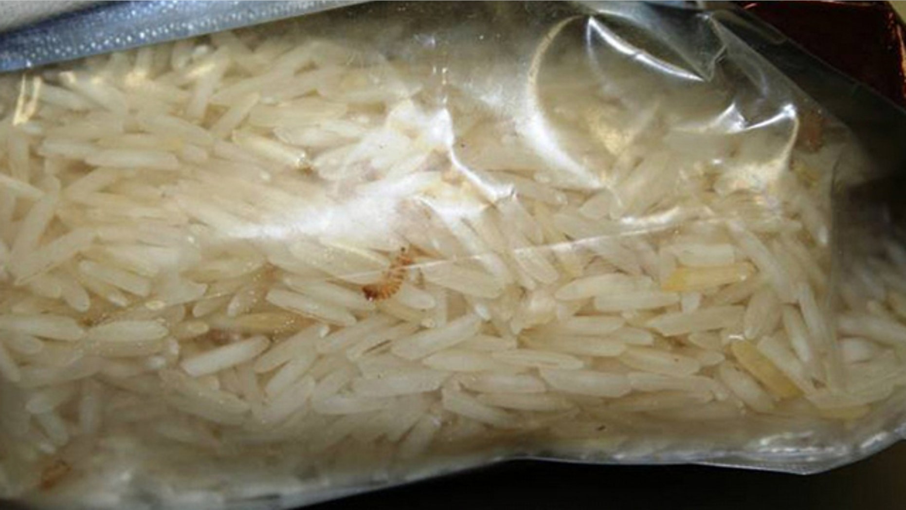 Jan. 5, 2011: A live kharpa beetle is found in a shipment of rice intercepted at Los Angeles International Airport.