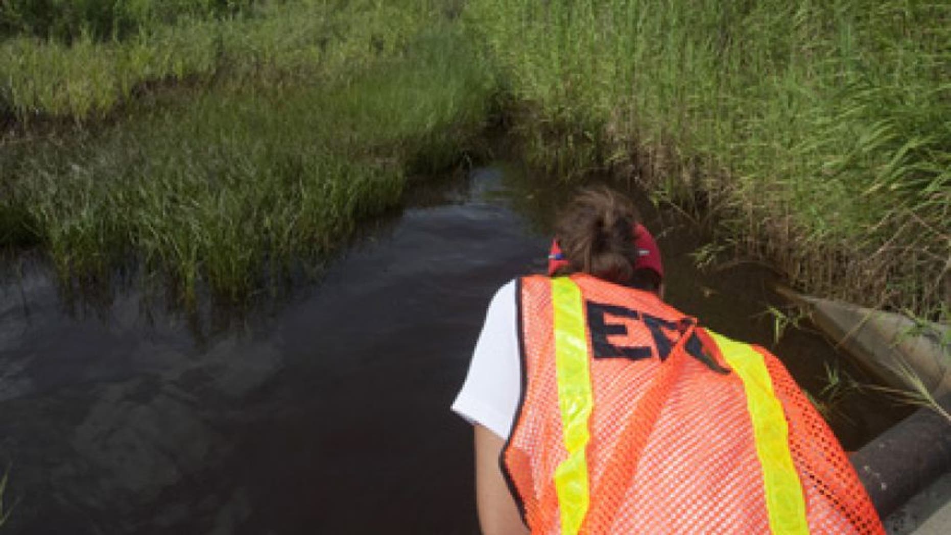 July 7, 2010: An Environmental Protection Agency worker looks at oil from the Deepwater Horizon spill which seeped into a marsh in Waveland, Mississippi.