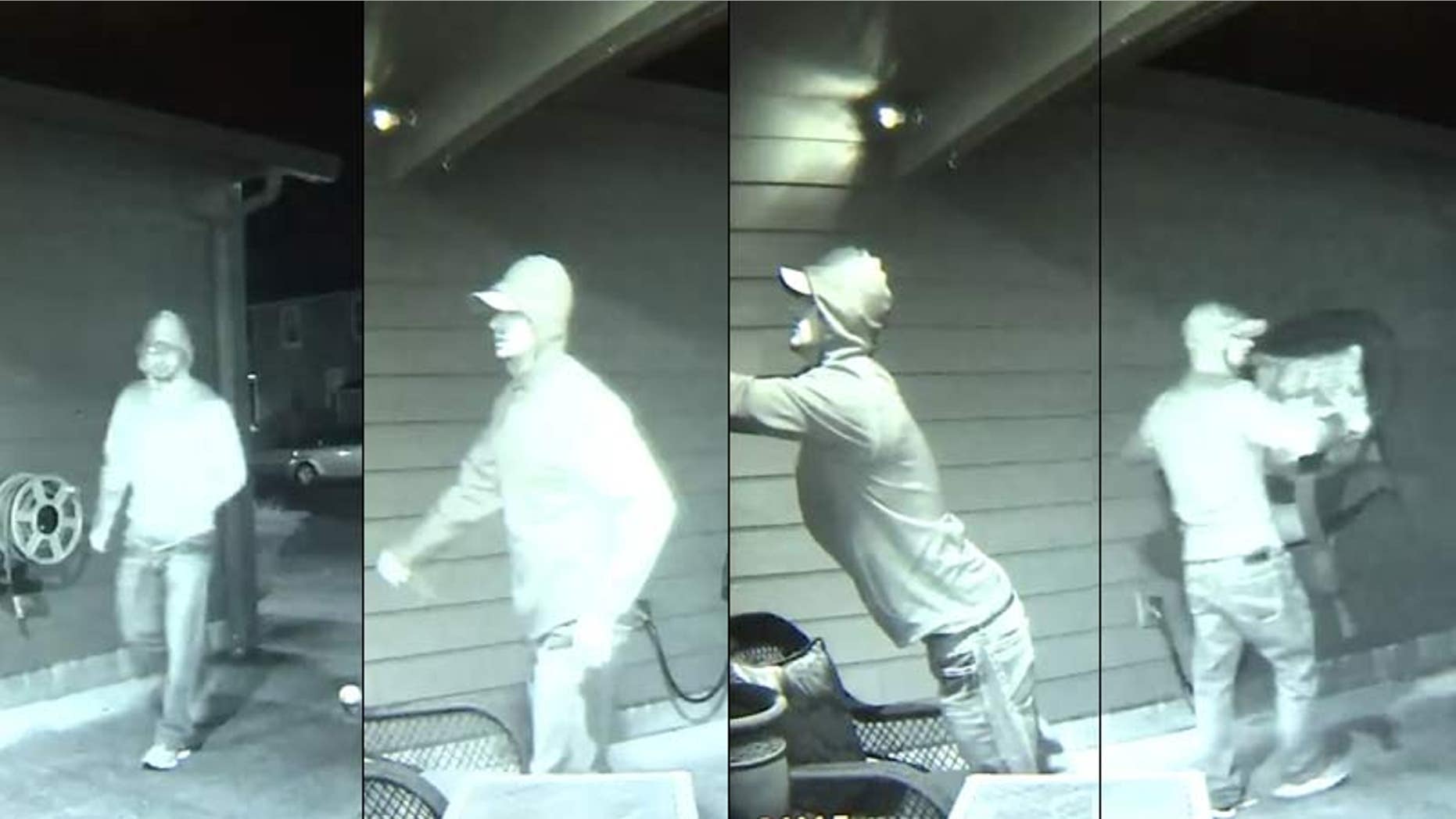 Surveillance images of Salem burglary suspect.