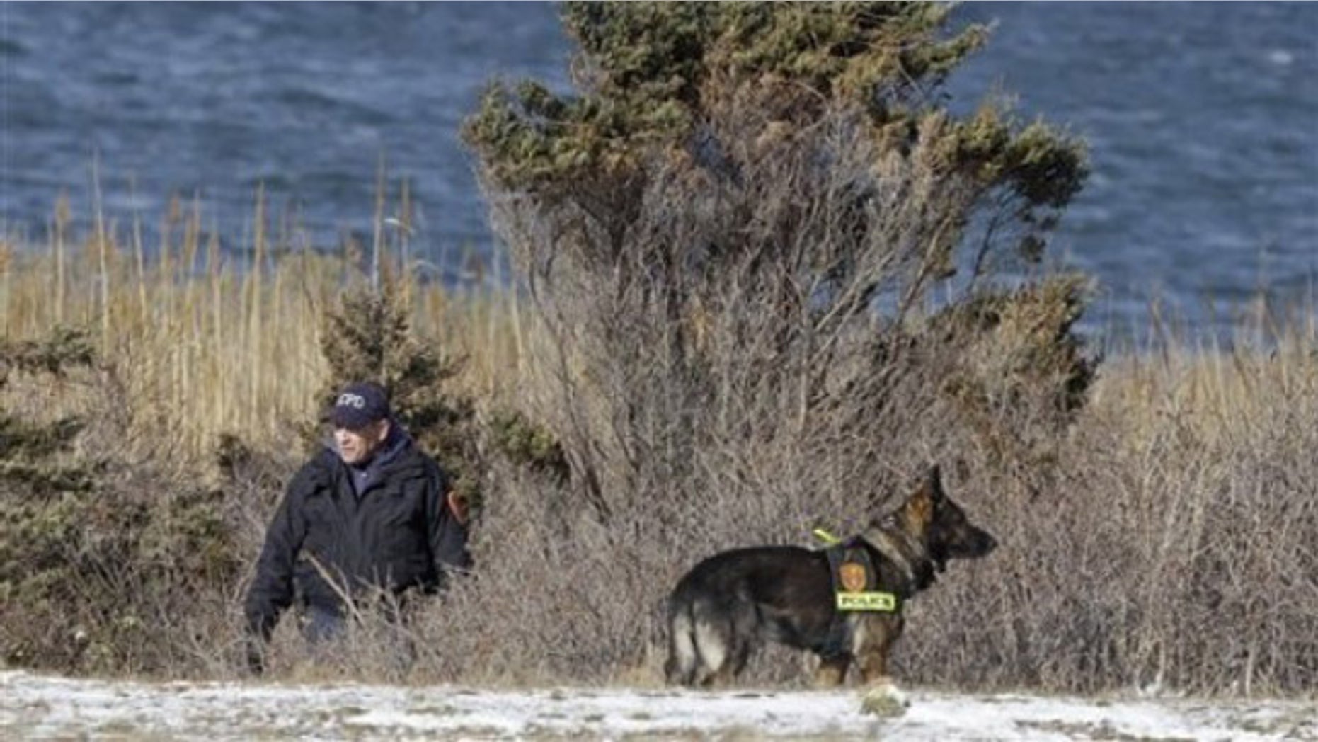 Police search in the brush by the side of the road on Cedar Beach, near Babylon, N.Y. , on Dec. 14, 2010 (AP).