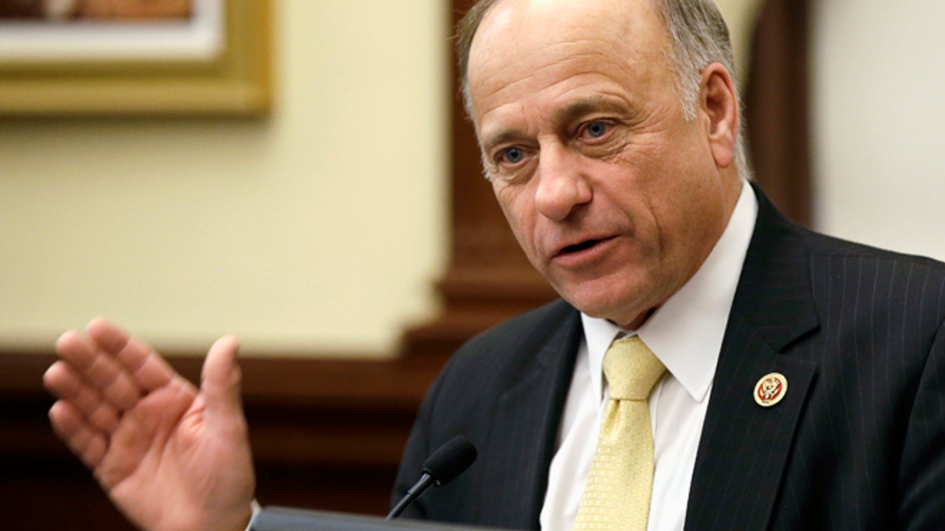 Jan. 23, 2014: Republican U.S. Rep. Steve King of Iowa speaks in Des Moines.