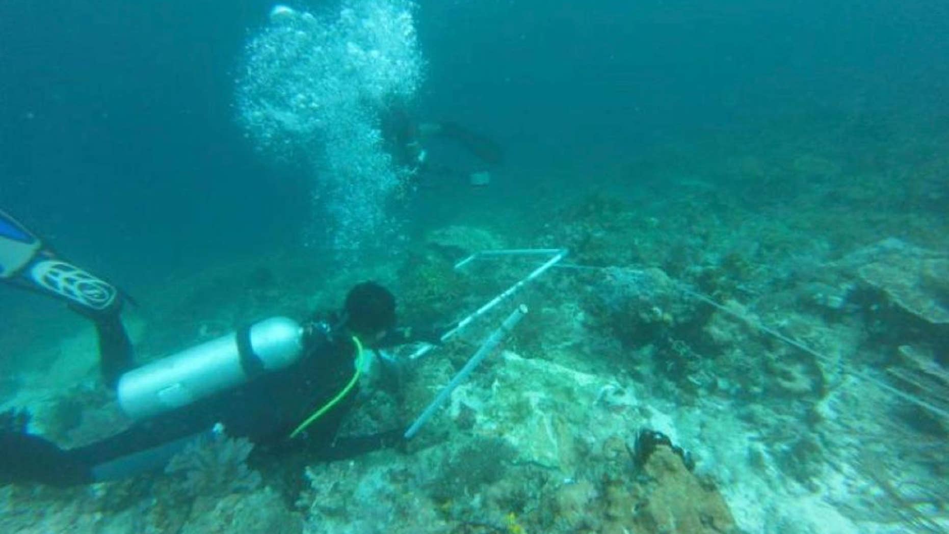 In this undated photo released by Indonesian Maritime Affairs and Fisheries Ministry, divers survey damaged coral reef caused by cruise ship M.V. Caledonian Sky that ran aground earlier this month in the waters of Raja Ampat, Papua province, Indonesia. Indonesia says nearly 19,000 square meters of coral reef was damaged in the pristine waters. (Indonesian Maritime Affairs and Fisheries Ministry via AP)