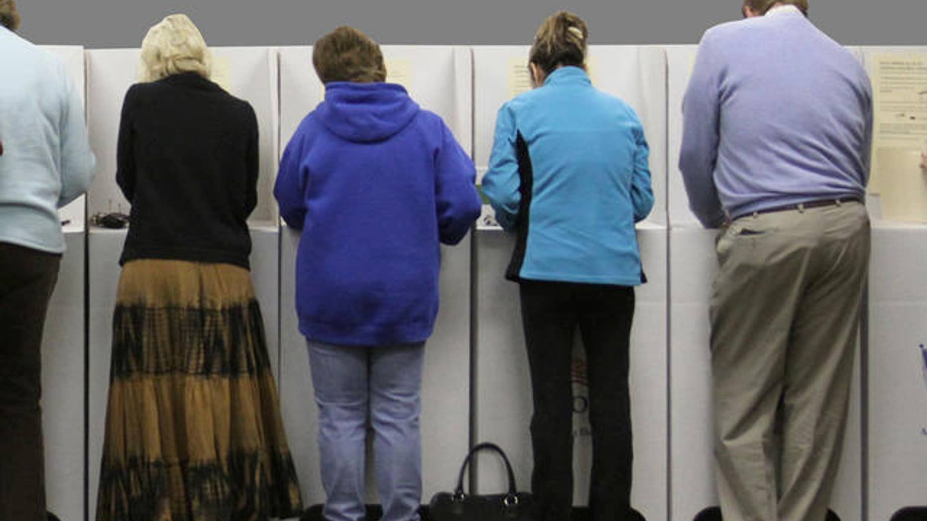 Voters cast their ballots in the general election on Tuesday, Nov. 2, 2010 in Star, Idaho. (AP Photo/Charlie Litchfield)