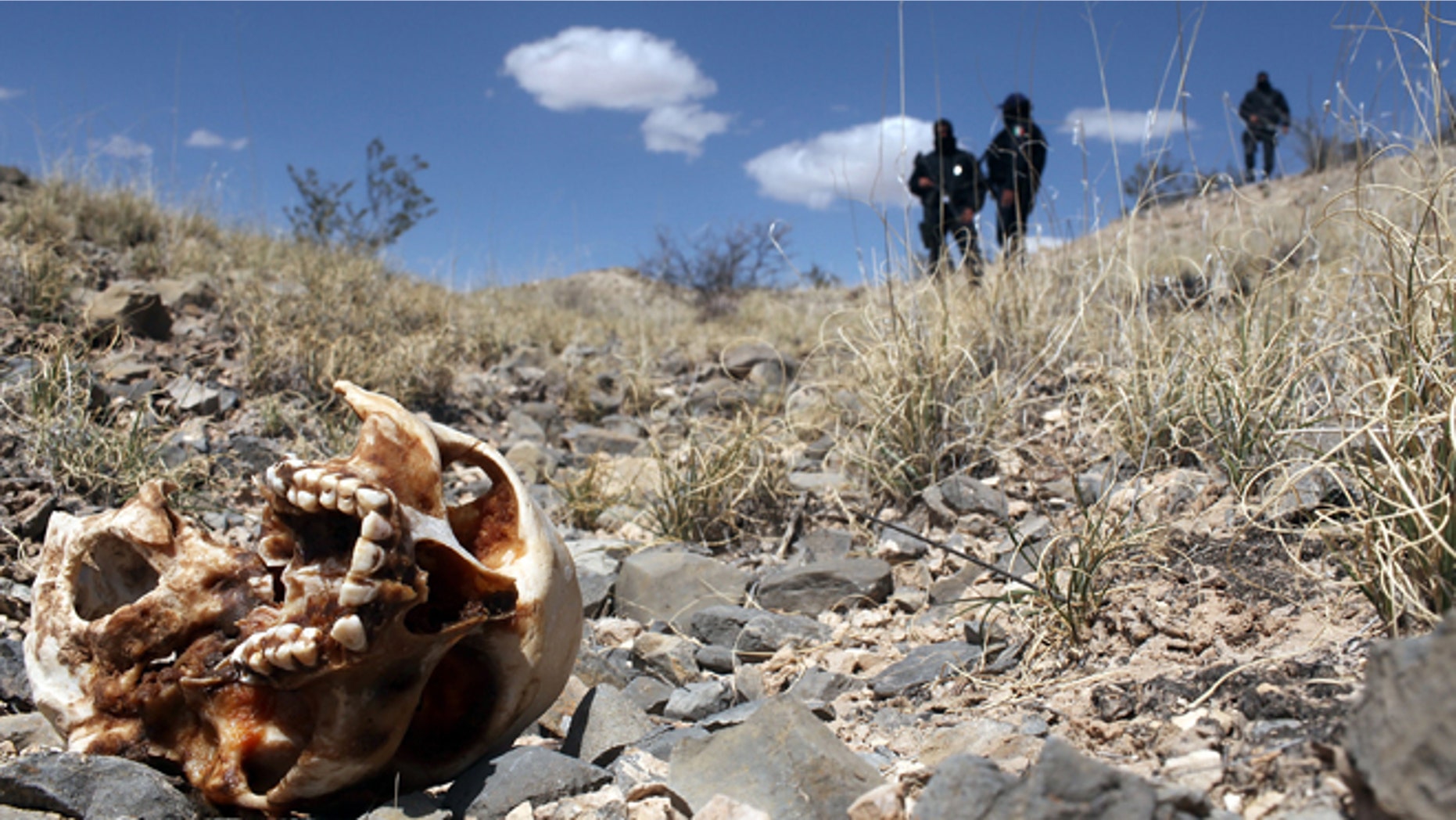 JUAREZ, MEXICO - MARCH 19: Mexican police stand near a skull discovered with other remains in what is thought to be a large grave in the desert of victims of recent drug violence on March 19, 2010 in the county ofJuarez, Mexico. The border city of Juarez has been racked by violent drug related crime recently and has quickly become one of the most dangerous cities in the world to live. As drug cartels have been fighting over ever lucrative drug corridors along the United States border, the murder rate in Juarez has risen to 173 slayings for every 100,000 residents. President Felipe Calderon?s strategy of sending 7000 troops to Juarez has not mitigated the situation. With a population of 1.3 million, 2,600 died in drug-related violence last year and 500 so far this year, including two Americans who worked for the U.S. Consulate last weekend as they returned from a children?s party. (Photo by Spencer Platt/Getty Images)
