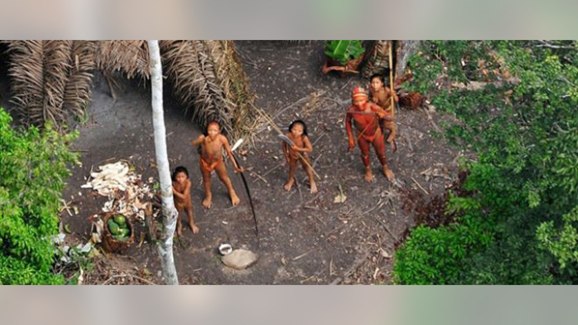 Members of an uncontacted tribe painted with red and black vegetable dye watch a Brazilian government plane overhead.