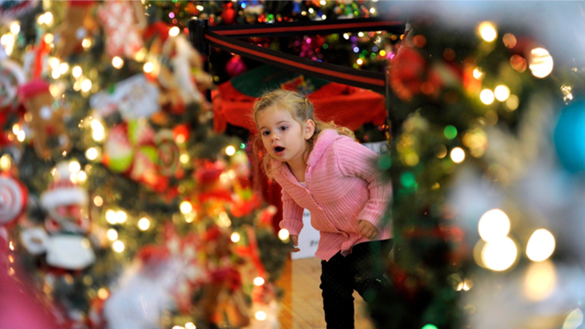 Nov. 25, 2012: Carly Serepetti, checks out the decorated Christmas trees on display in Dearborn, Mich.