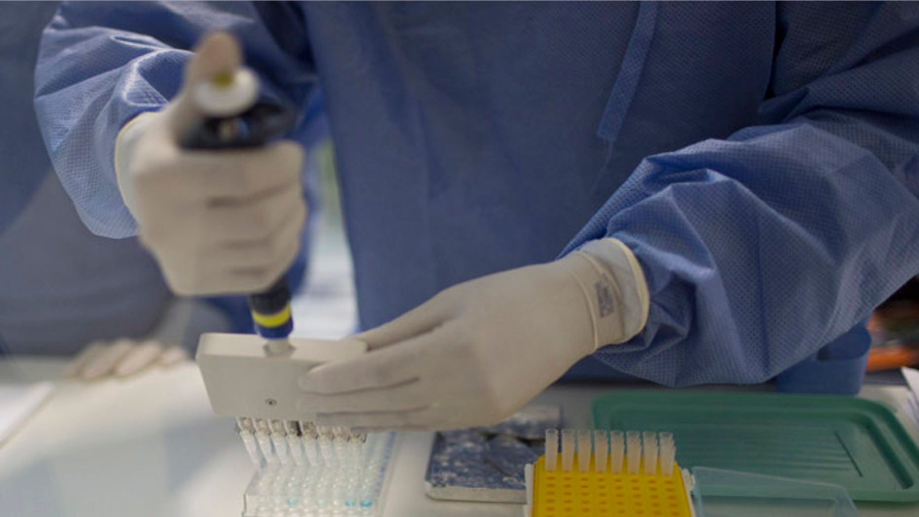A graduate student works on analyzing samples to identify the Zika virus in a laboratory at the Fiocruz institute in Rio de Janeiro, Brazil, Friday, Jan. 22, 2016. Health officials say they're trying to determine if an unusual jump in cases of a rare nerve condition sometimes severe enough to cause paralysis is related to the spread of the mosquito-borne Zika virus in at least two Latin American countries. (AP Photo/Leo Correa)