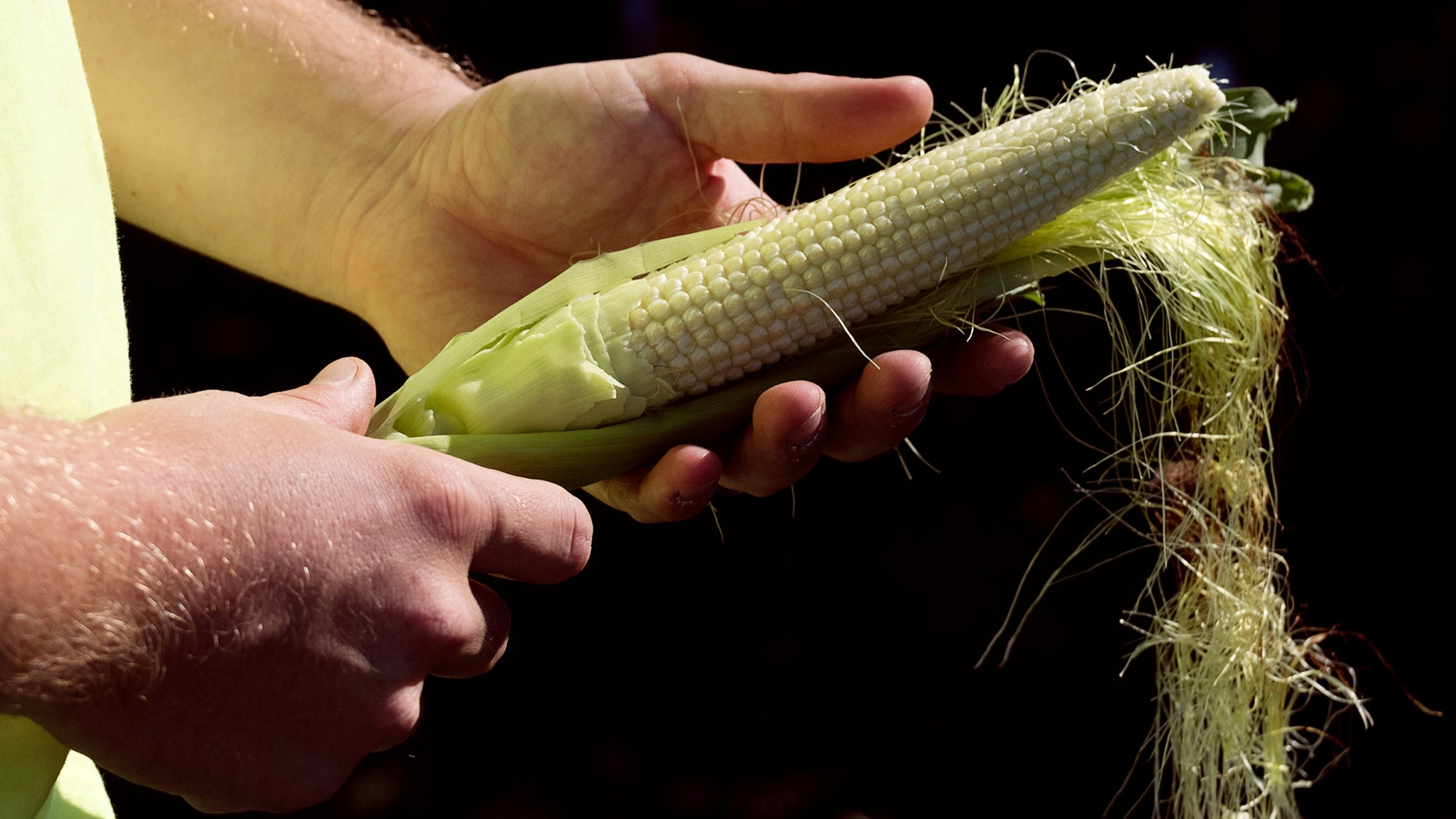 Scientists at Rutgers University in New Jersey and Chinas Sichuan Academy of Agricultural Sciences have come up with a way to improve the nutritional value of corn using smart gene-editing technology. (REUTERS/Zachary Prong)