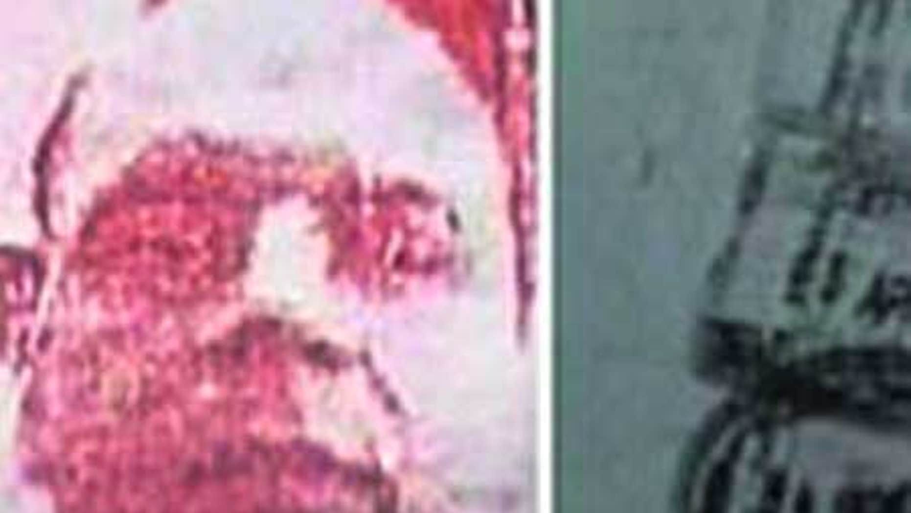 David Coleman Headley.