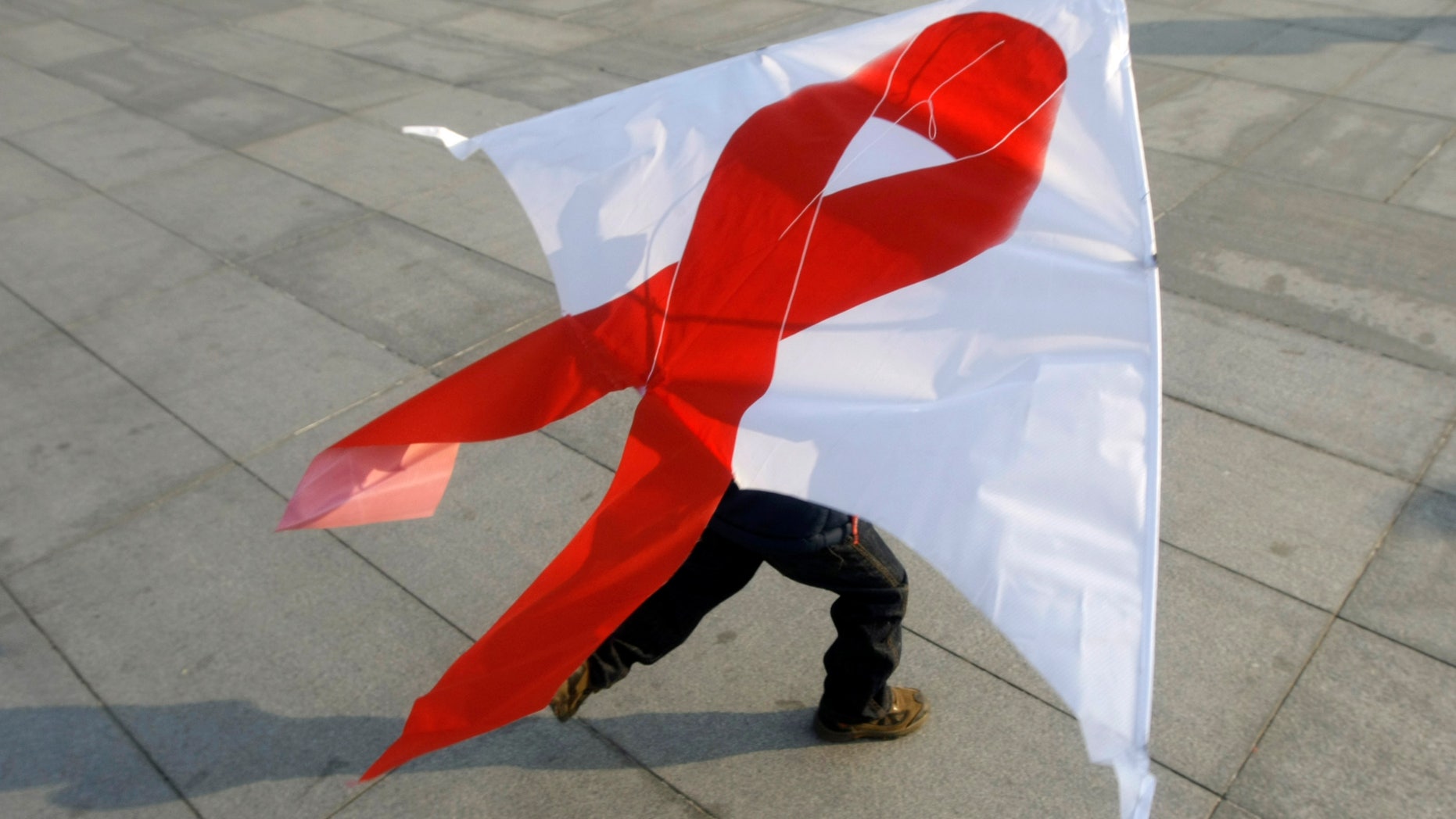 A child flies a kite with a red ribbon during a World AIDS Day event in Beijing November 30, 2008. REUTERS/Jason Lee