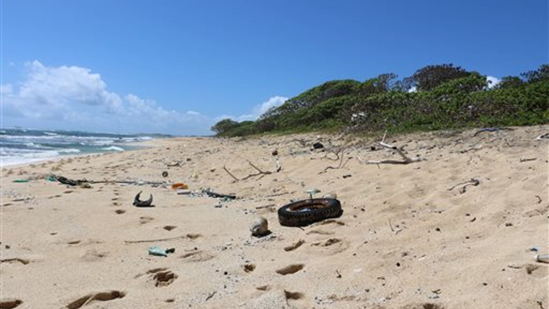 In this May 5, 2016 image provided by the state of Hawaii, ocean debris accumulates in Kahuku, Hawaii on the North Shore of Oahu.