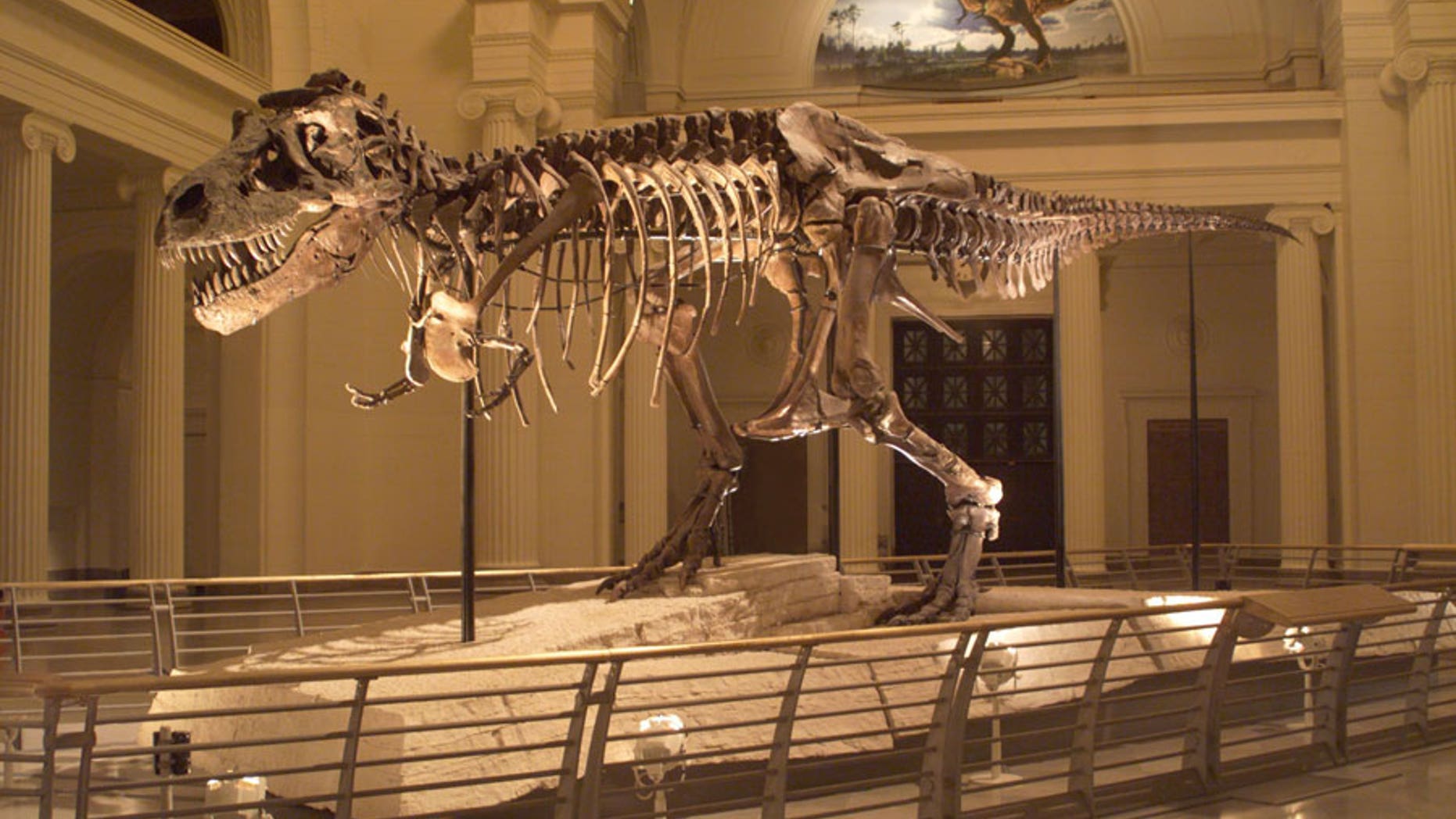 SUE the dinosaur's forearm came to the Advanced Photon Source for its most detailed scan ever, which could shed light on why the large dinosaur had such small arms.