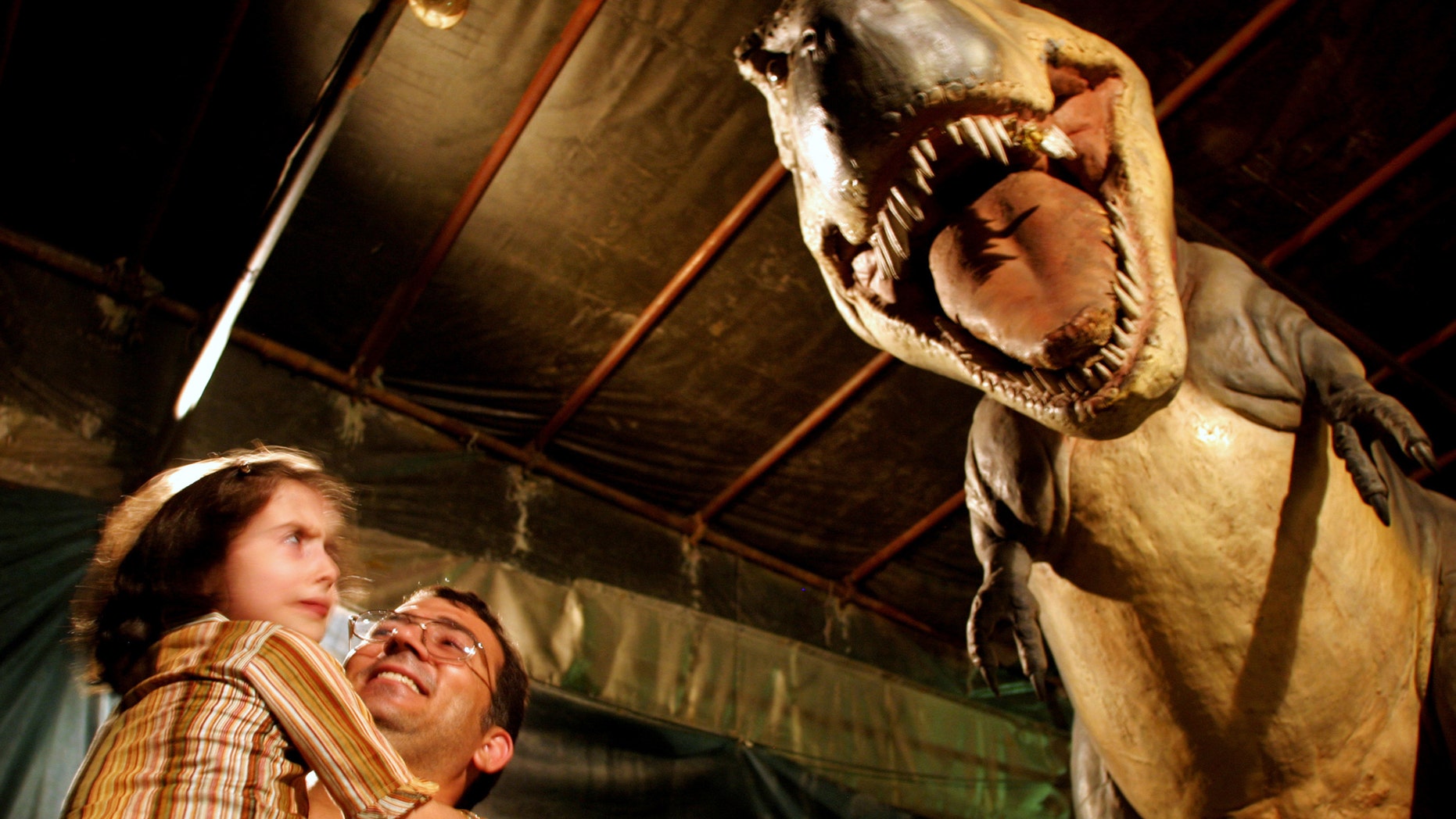 File photo: Iranian girl looks at a life sized robot of a Tyrannasaurus rex at Tehran's Jurassic Park dinosaur exhibition. An Iranian girl looks at a life sized robot of a Tyrannosaurus rex at a Jurassic Park dinosaur exhibition in Tehran July 6, 2005. (REUTERS/Morteza Nikoubazl)