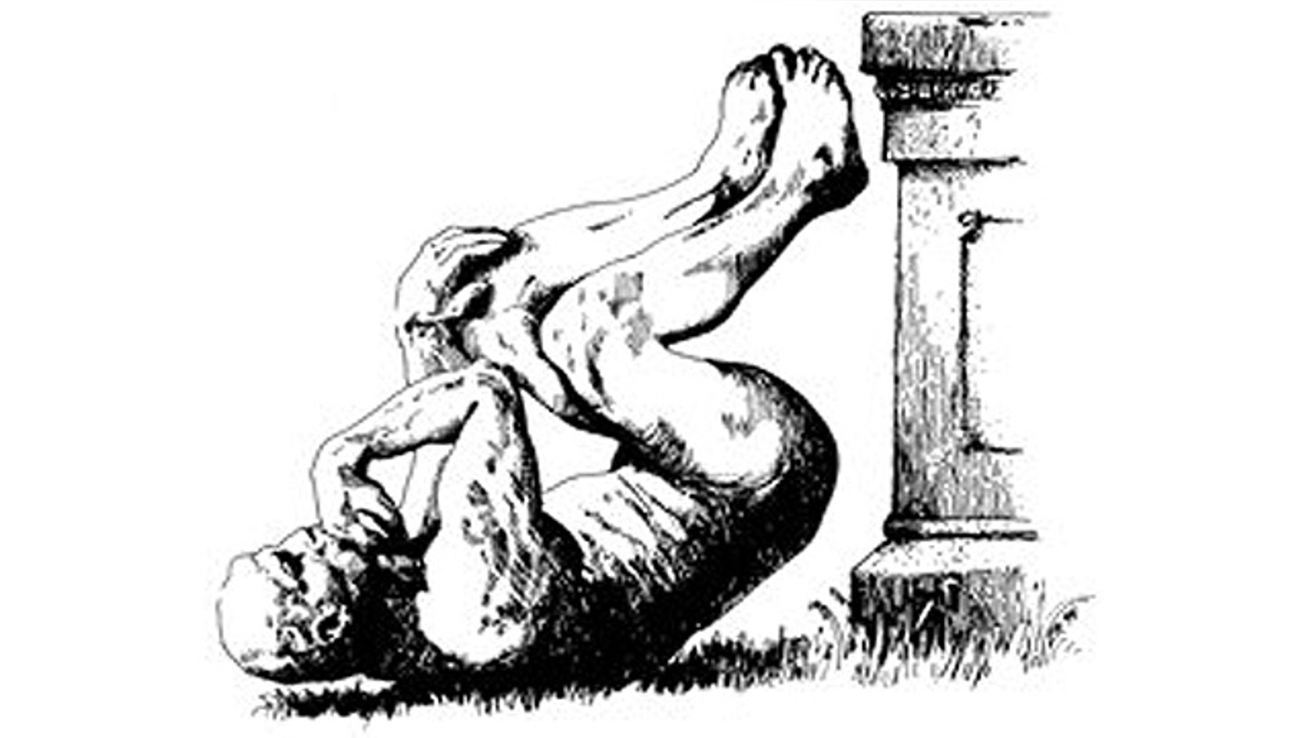 The mascot for the Ig Nobel Prizes, an annual honor for achievements that first make people laugh, and then make them think.