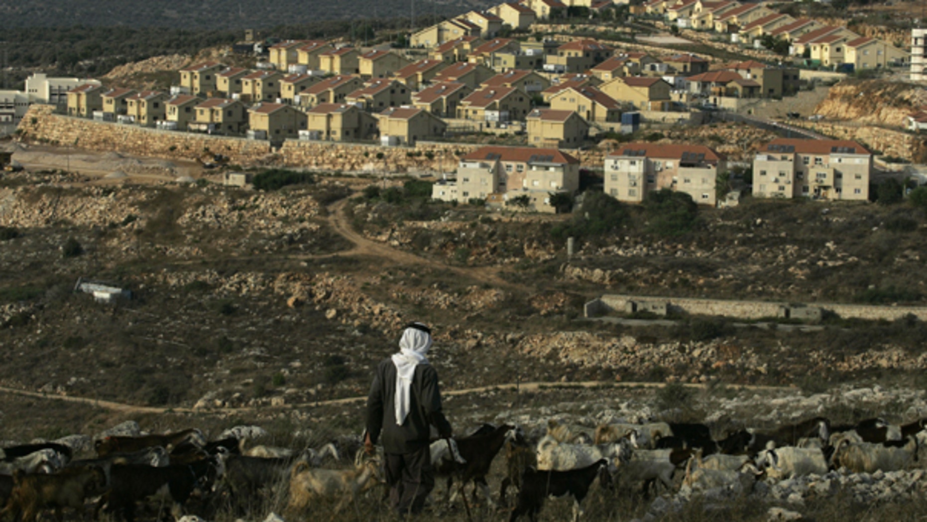 Sept. 25: A Palestinian shepherd walks near the Jewish settlement of Revava, near the West Bank Village of Salfit. Danny Danon, a pro-settler lawmaker in Netanyahu's Likud Party, said Saturday that settlers have already moved equipment into the Revava settlement in the northern West Bank.