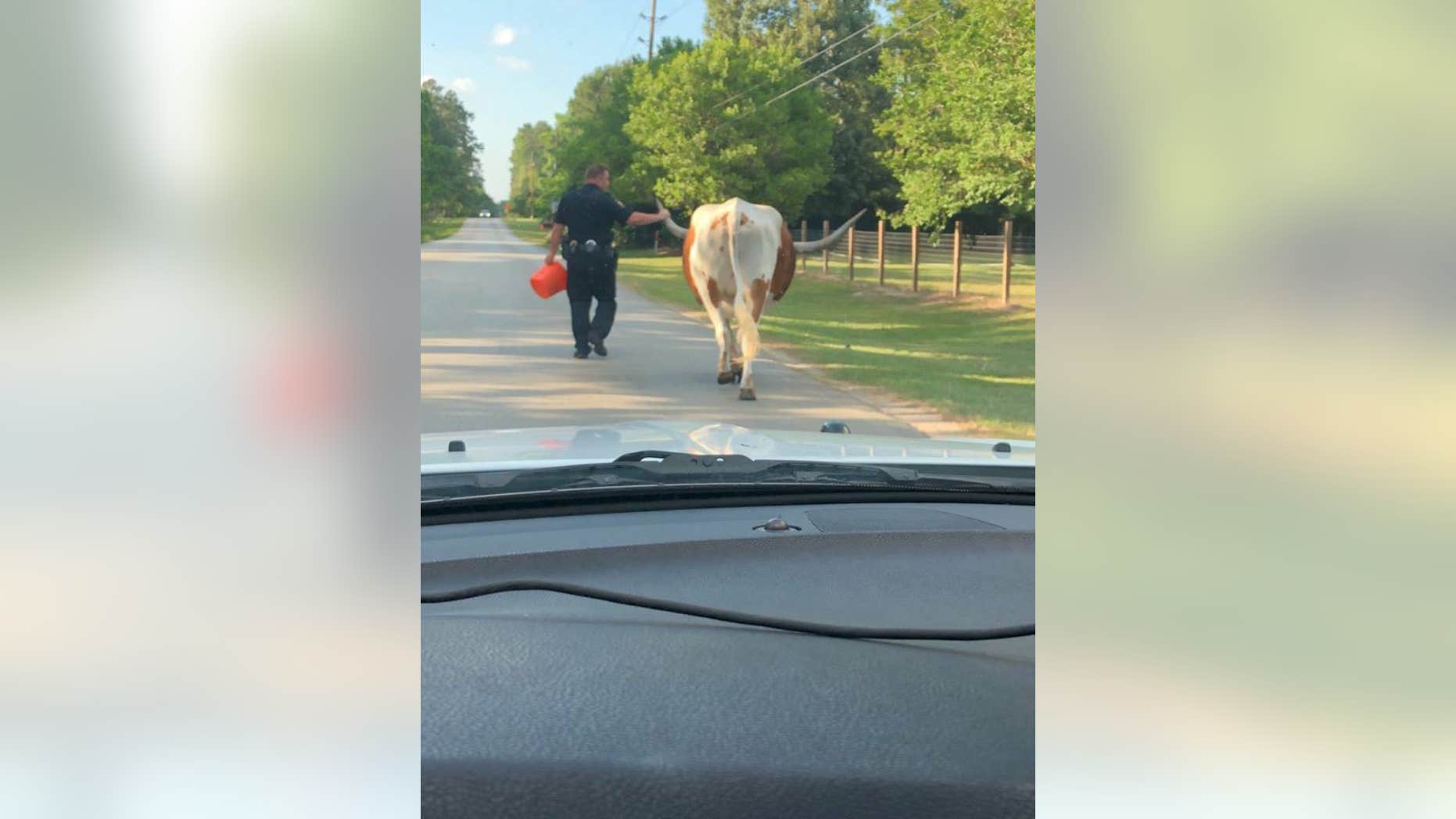 The Montgomery County Sheriff's Office shared this photo on its Twitter and Facebook pages.