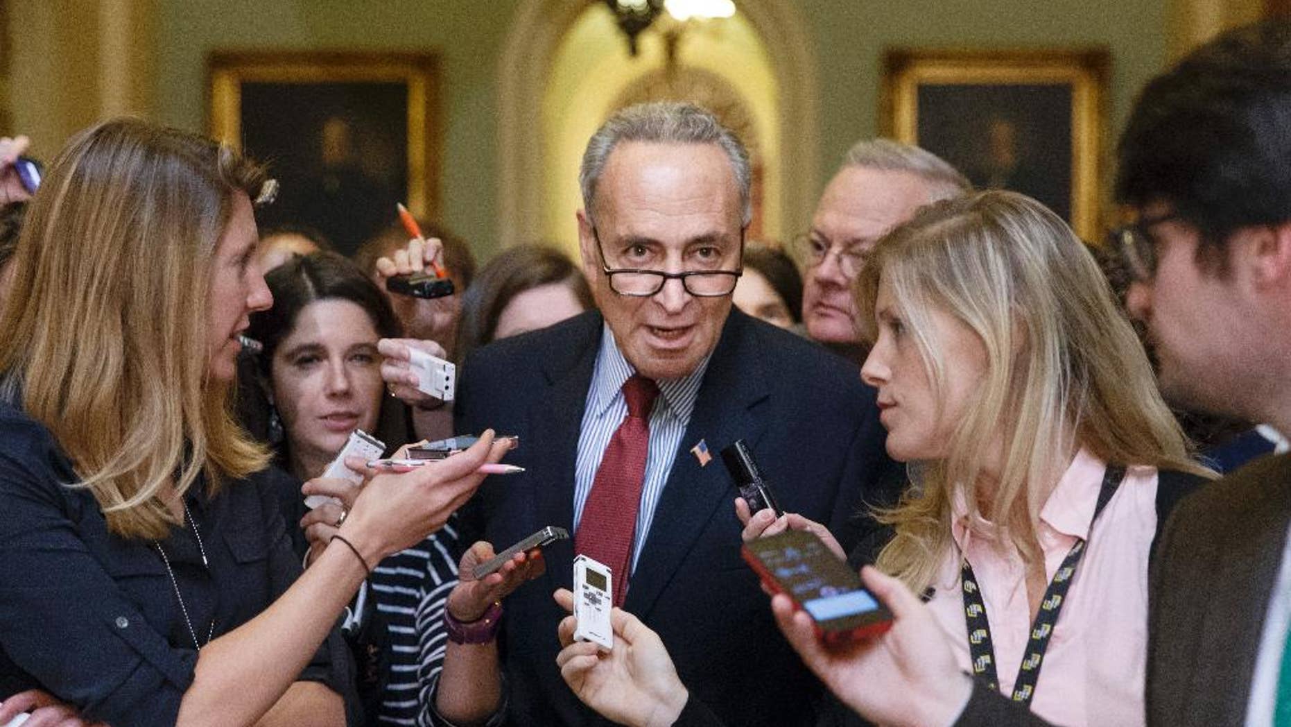 Sen. Chuck Schumer, D-N.Y., in Washington, Tuesday, July 29, 2014.