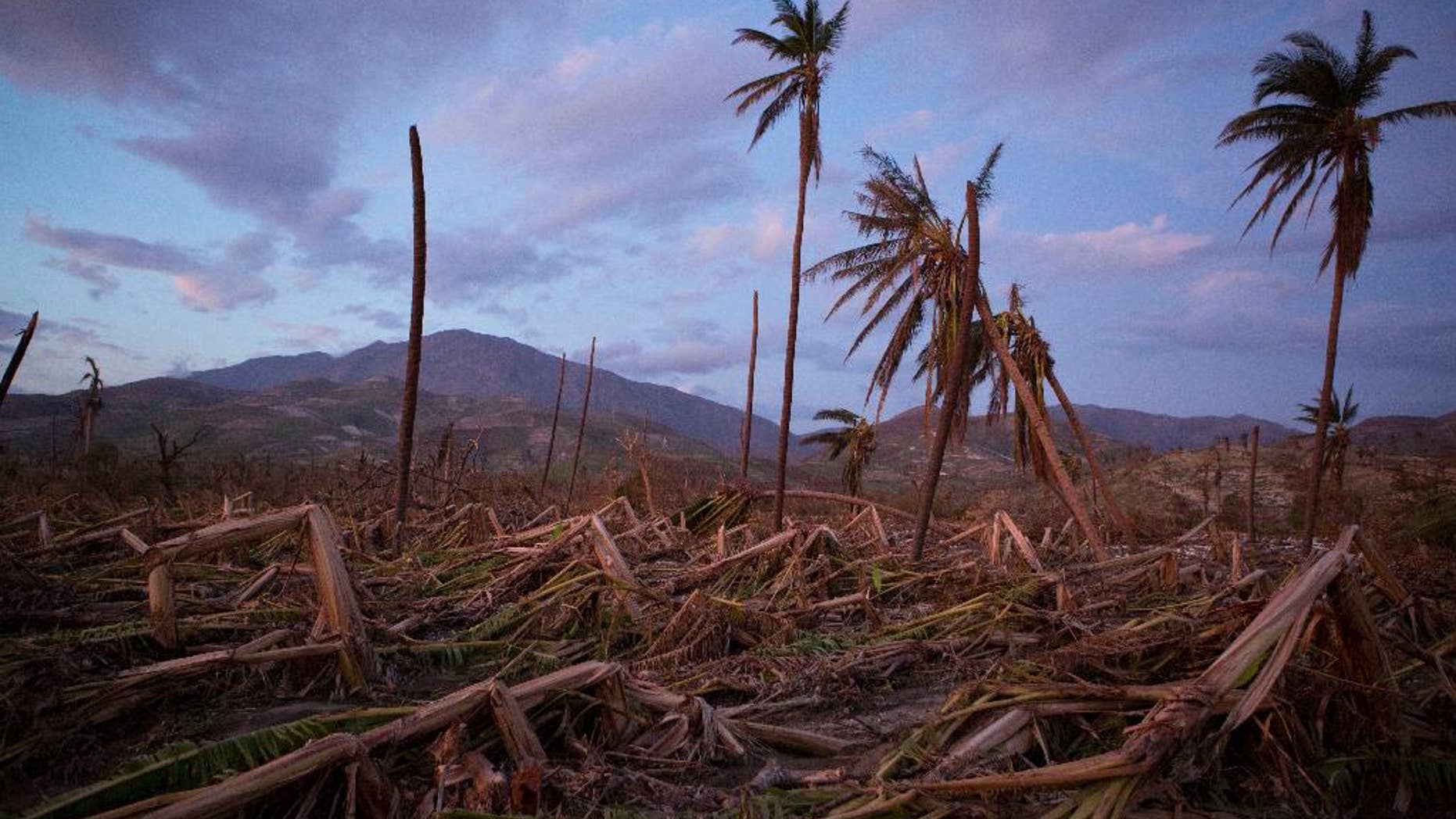 FILE - In this Oct. 10, 2016 file photo, banana and coconut trees are bent and broken along a southern coast road near the town of Roche-a-Bateau, Haiti, left behind by Hurricane Matthew. Hundreds of thousands of people in southern Haiti are facing food shortages three months after the storm destroyed crops and livestock in the region, international aid organization Oxfam said Wednesday, Jan. 4, 2017. (AP Photo/Rebecca Blackwell, File)