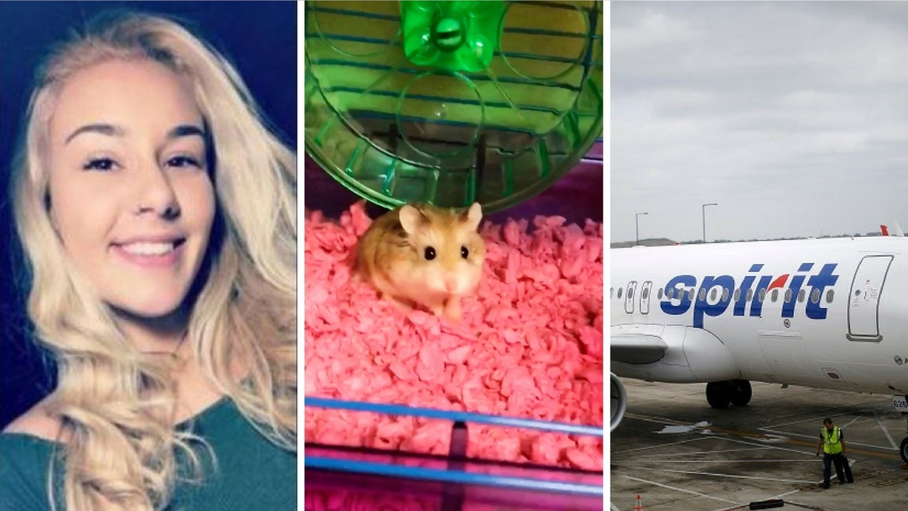Belen Aldecosea claimed an Spirit Airlines employee suggested she flush her emotional support hamster, Pebbles (middle), down the toilet after the rodent was refused on board.