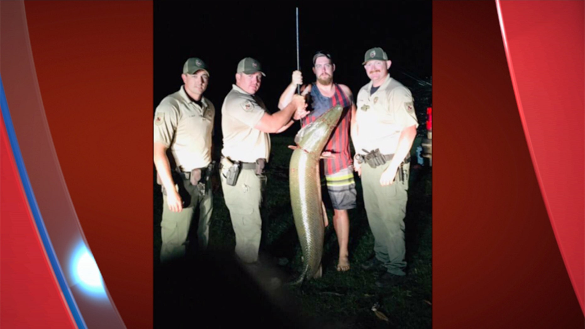 The unexpected catch was 6 feet 2 inches long, with a 30.5-inch girth.