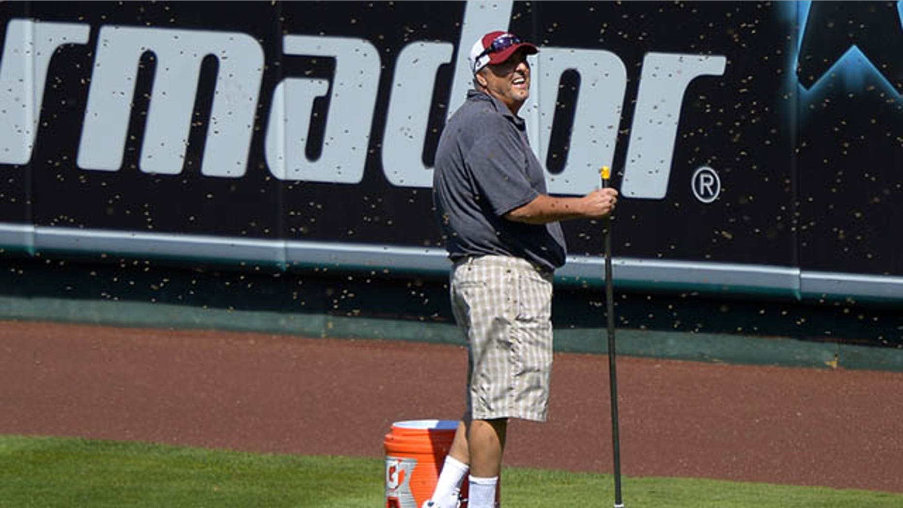 September 22, 2013: Apiarist John Potom, of Honey Pacifica, deals with a swarm of bees that held up a baseball game between the Los Angeles Angels and the Seattle Mariners for several minutes during the third inning on Sunday in Anaheim, Calif. (AP Photo)