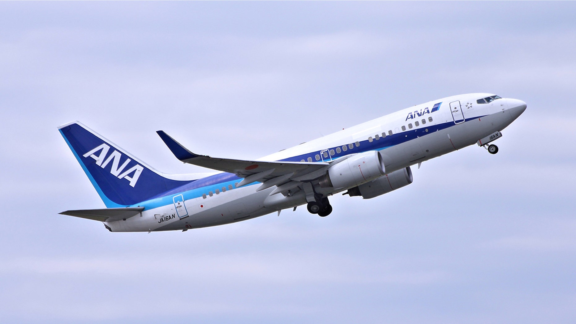 A 24-year-old man allegedly peed on a 50-year-old fellow passenger on an All Nippon Airways flight to Japan.