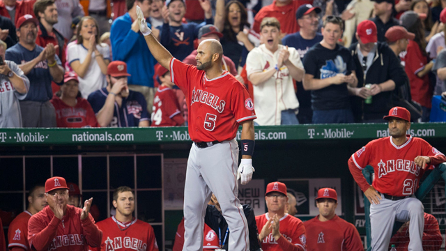 April 22, 2014: Albert Pujols (5) steps out of the visitors' dugout to acknowledge the applause from the crowd after hitting his 500th career home run off the Washington Nationals' Taylor Jordan in the fifth inning of the Los Angeles Angels' 7-2 win. (AP)