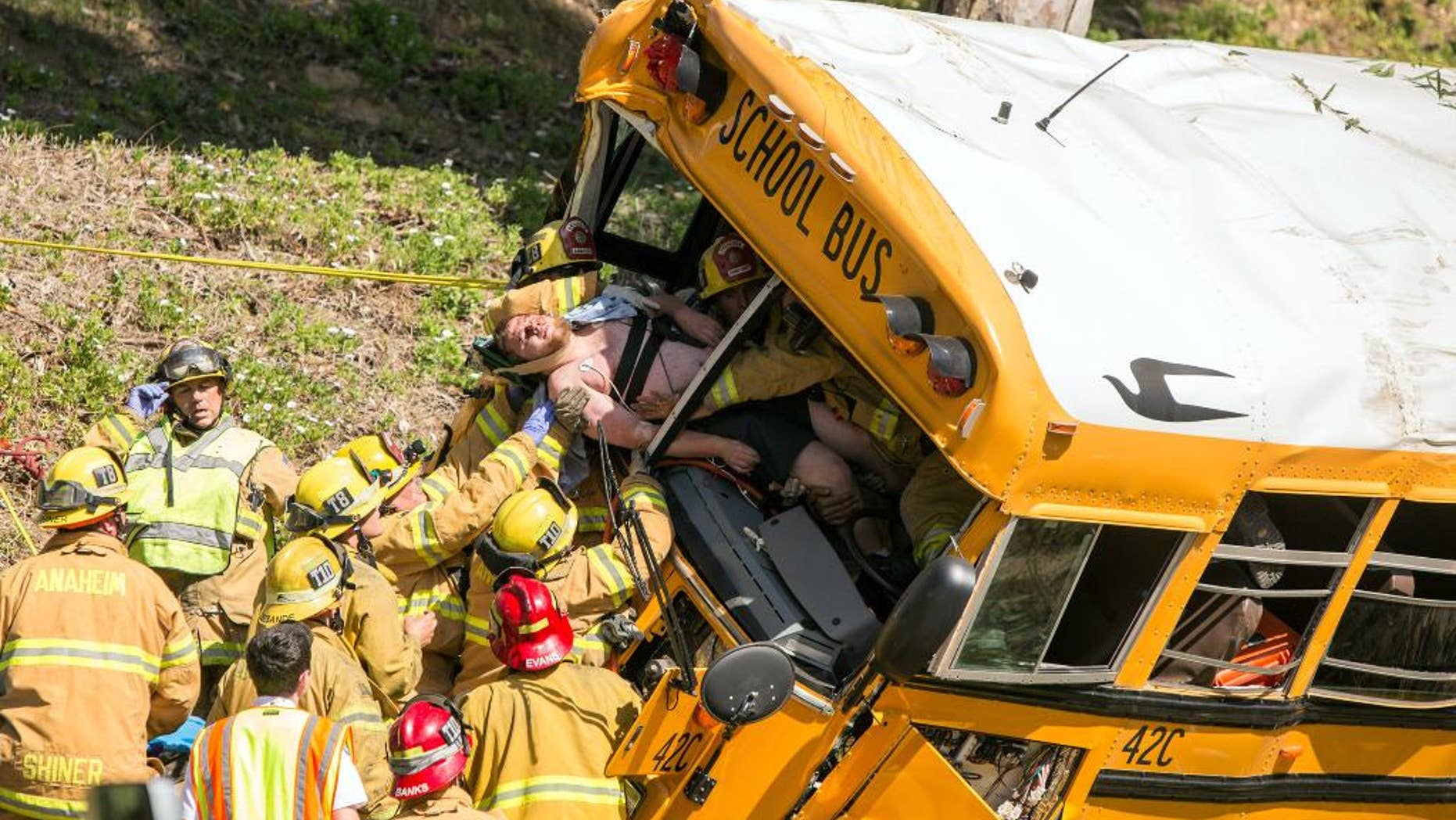 Firefighters extricate the driver from the front of a school bus that crashed, Thursday, April 24, 2014, in Anaheim, Calif. Three of the injured, the driver and two of the children, were taken to hospitals in critical condition after the crash, Anaheim police Lt. Bob Dunn said. The other nine students had minor injuries, and most of them were released to their parents. Police say no other vehicles were involved in the crash and there is no immediate word on the cause. (AP Photo/Kevin Warn)