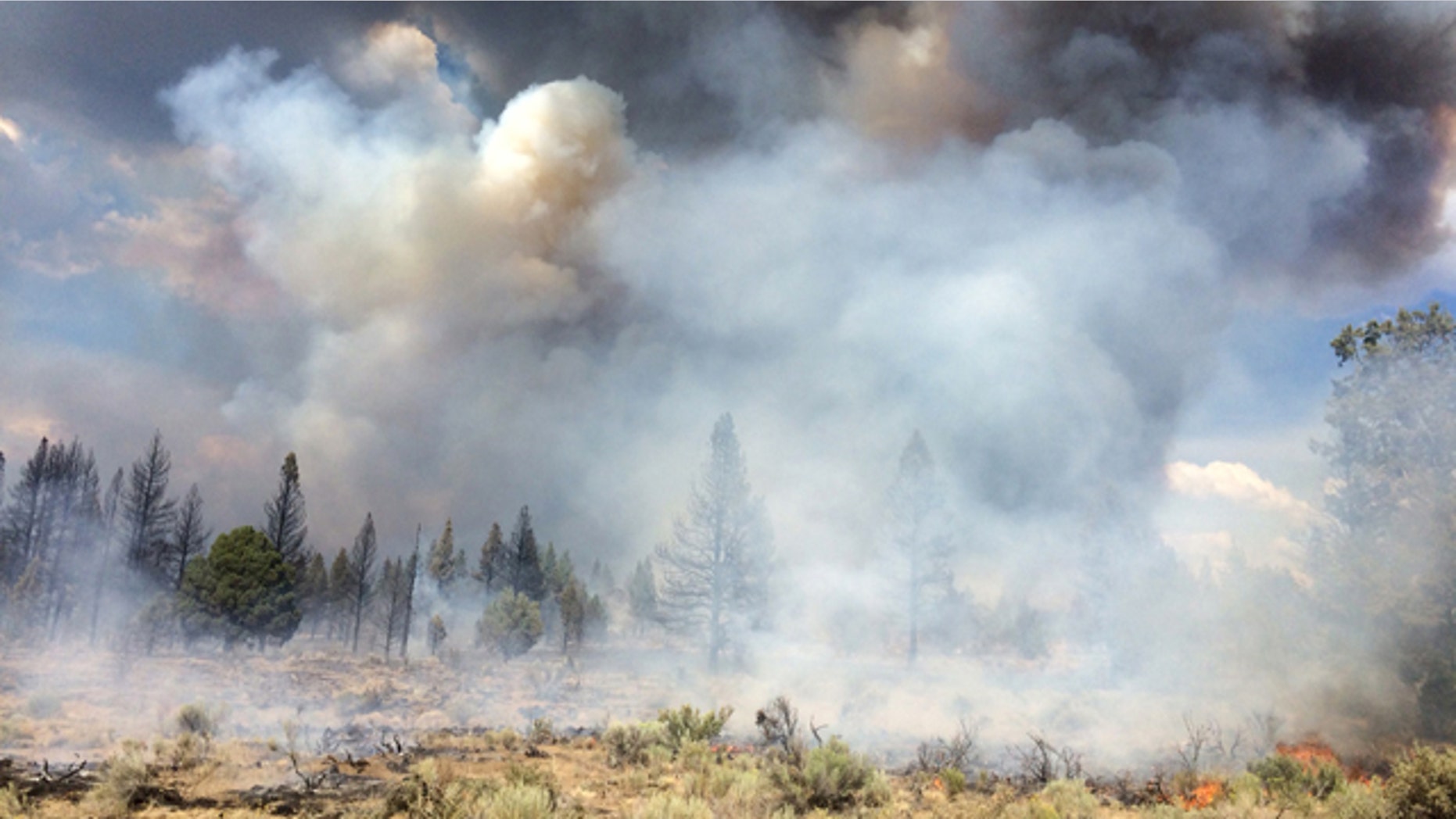 July 13, 2014: In this photo released by the Oregon Dept. of Forestry, the Moccasin Hill fire burns north of Sprague River and northeast of Klamath Falls, Ore. (AP Photo/Oregon Dept. of Forestry, Dennis Lee)
