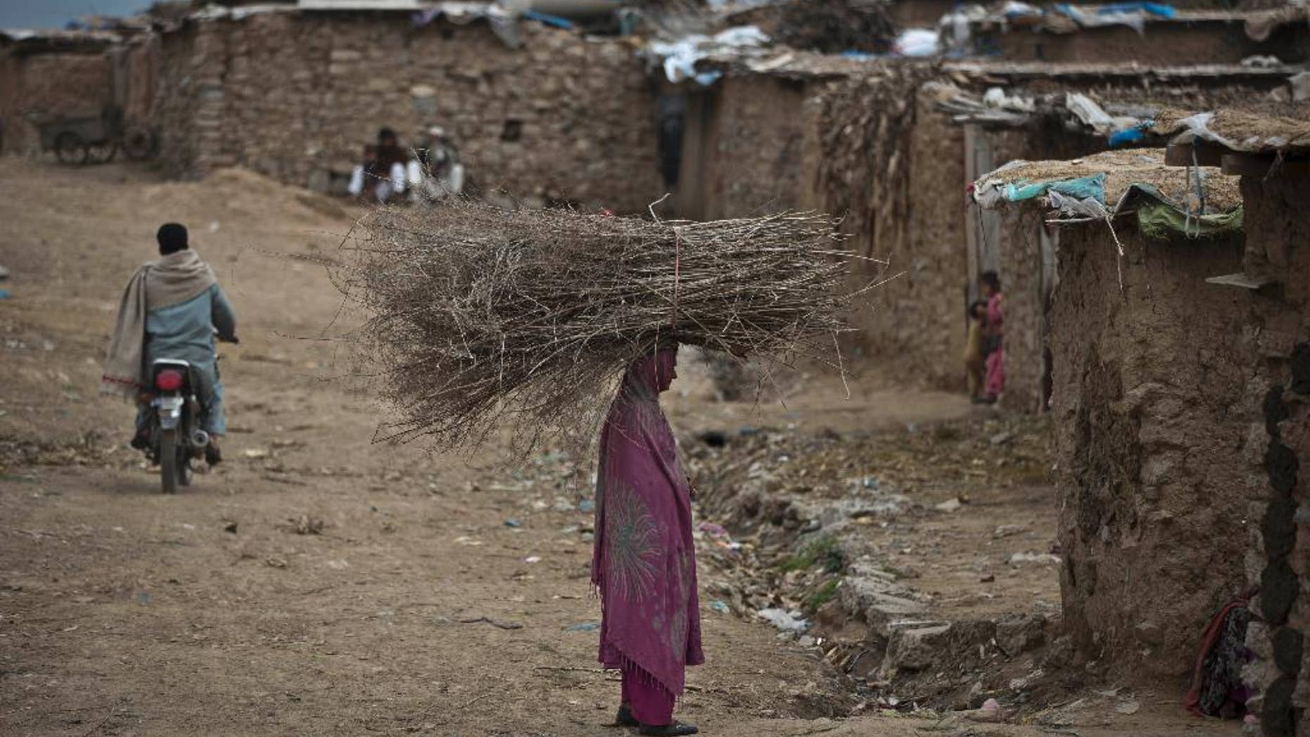 A Pakistani woman, who was displaced with her family from Pakistan's tribal areas due to fighting between the Taliban and the army, balances wood on her head, she collected to be used for heating and cooking, in a poor neighborhood on the outskirts of Islamabad, Pakistan, Friday, March 21, 2014. (AP Photo/Muhammed Muheisen)