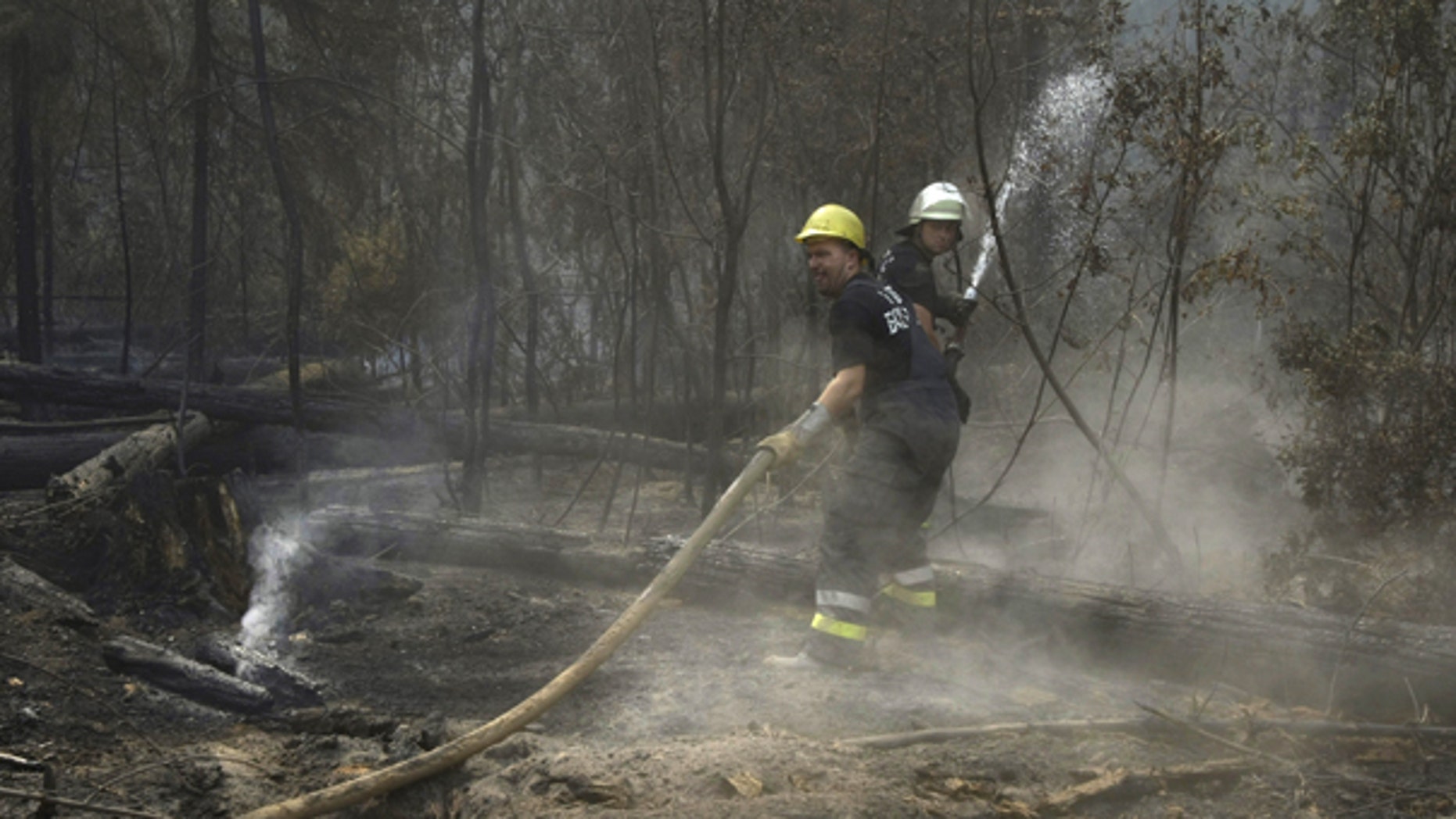 Aug. 10: Unidentified Bulgarian fire fighters hose water onto smoldering tree trunks in a forest in the Noginsk district some 70 km east of Moscow. Hundreds of forest and peat bog fires have ignited amid the country's most intense heat wave in 130 years of record-keeping.