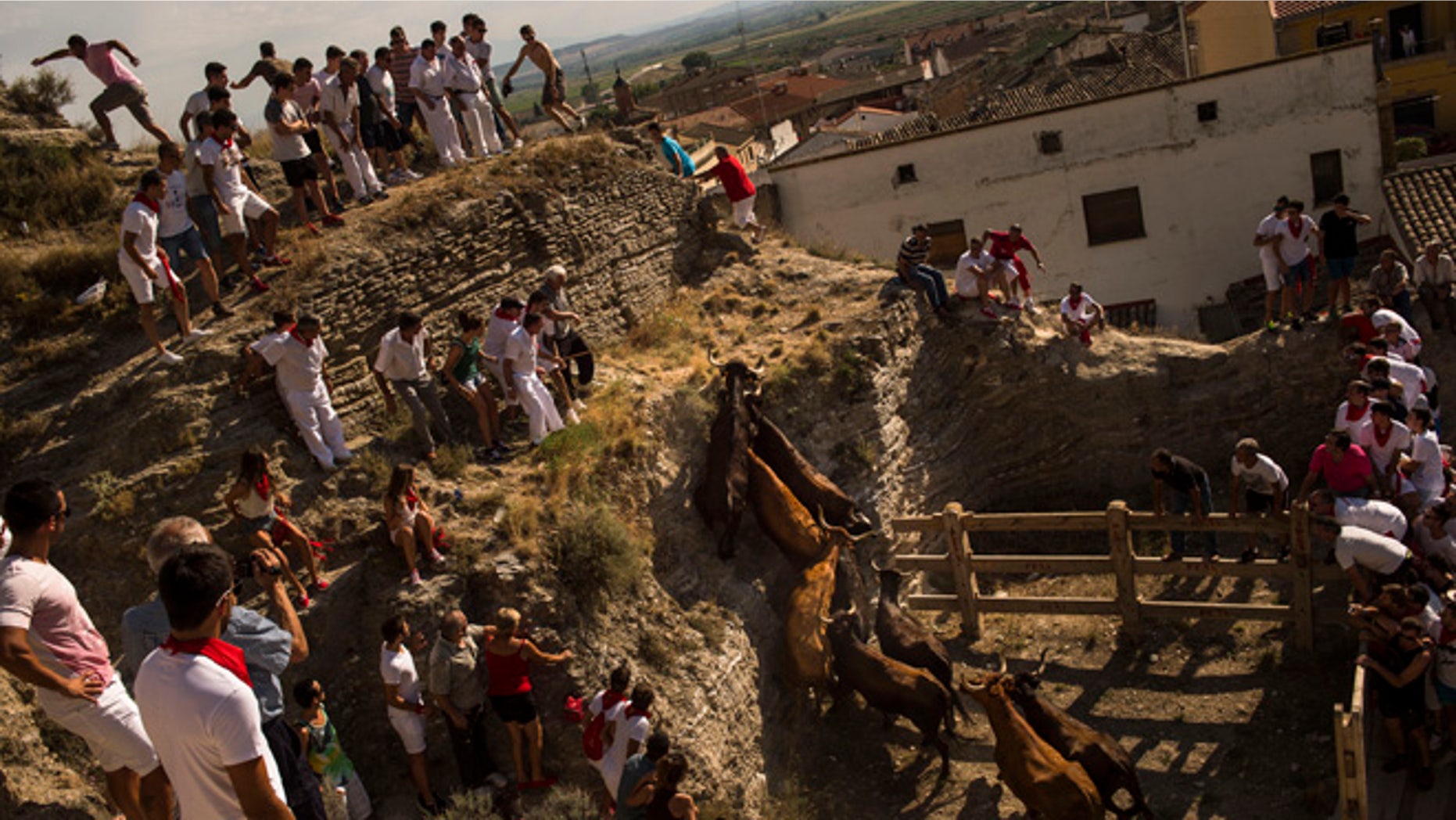 Villagers try to stop cows from walking too far up a slope of a mountain with the intention of sending them back down towards the town of Arguedas, northern Spain, Thursday Aug. 6, 2015. The traditional run during the local fiestas is in honor of the patron saint Esteban. (AP Photo/Alvaro Barrientos)