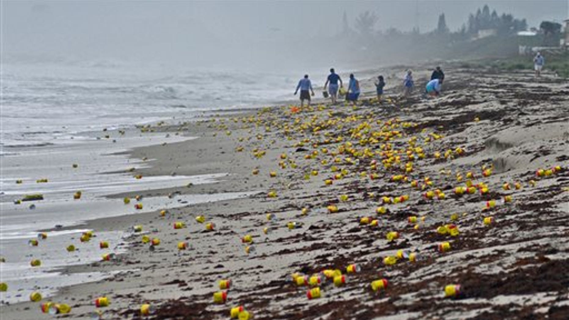 Thousands of cans and vacuum packed bricks of Cafe Bustelo brand coffee have washed up on the beaches of Indialantic, Fla., on Tuesday, Dec. 8, 2015, most likely from a barge container that had fallen overboard this past weekend. The coffee began washing ashore along an area over a mile long in Brevard County, on the east coast of Cental Florida. People began cleaning up the mess, or decided to enjoy some free java. (Tim Shortt/Florida Today via AP)