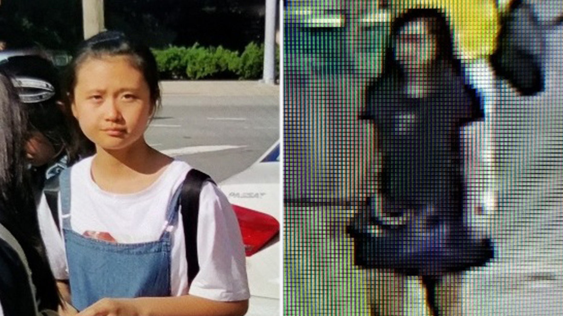Virginia police issued an Amber Alert on Thursday for a 12-year-old girl from China who they believe was abducted from Ronald Reagan Washington National Airport.