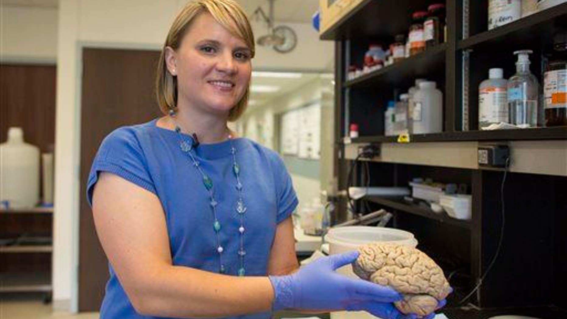 A human brain is shown.
