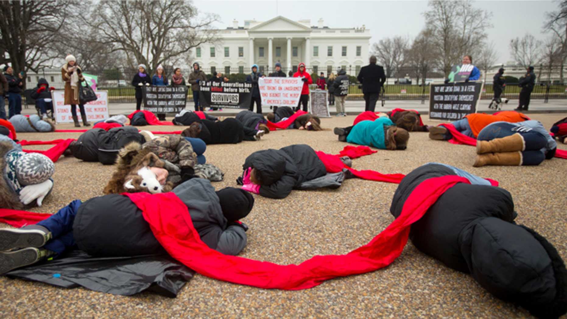 This Wednesday, Jan. 21, 2015 photo shows anti-abortion activists stage a "die-in" in front of the White House in Washington.