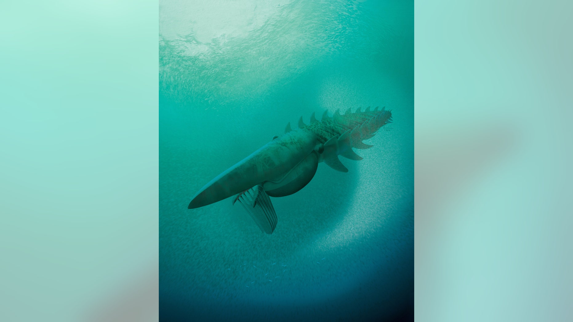 An illustration of the anomalocaridid (Aegirocassis benmoulae), a giant filter feeder that fed on plankton and lived in the Early Ordovician about 480 million years ago. The animal measured about 7 feet in length.