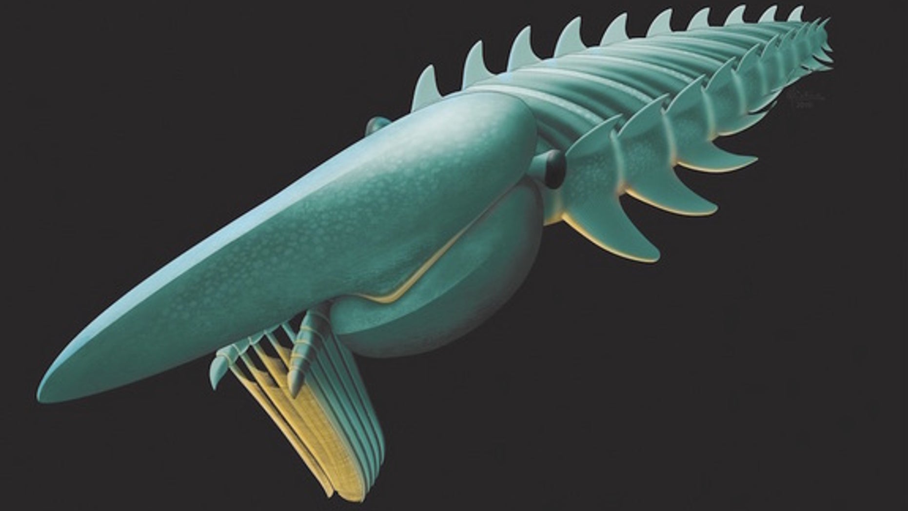 An artist's interpretation of Aegirocassis benmoulai, a remarkably well-preserved 480-million-year-old arthropod known as an anomalocaridid.