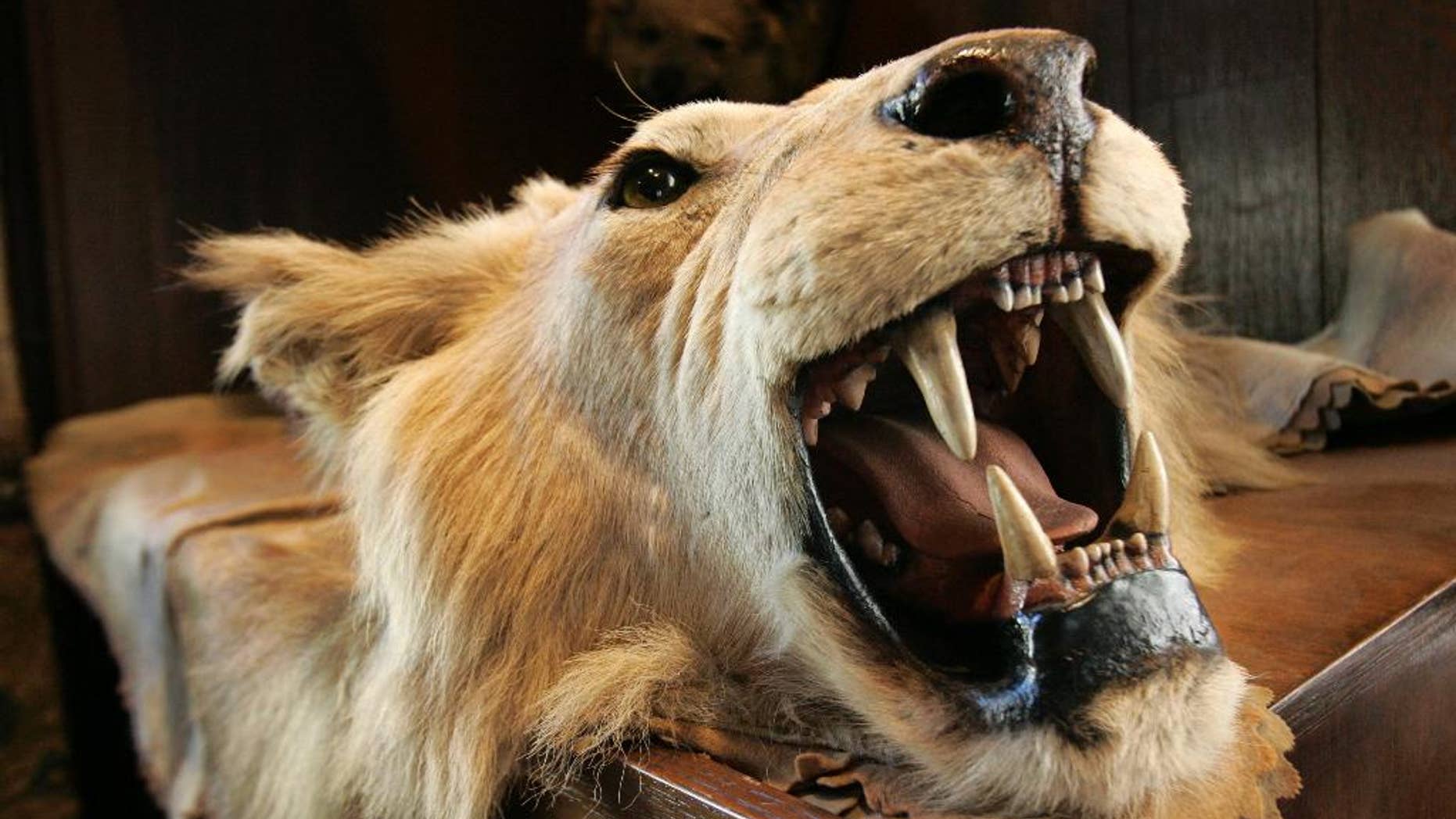 Delta has banned the shipment of lion, leopard, elephant, rhinoceros and buffalo trophies.