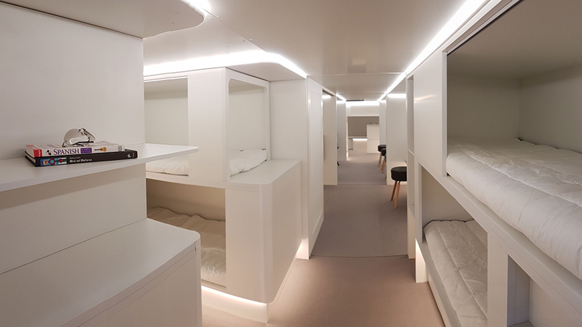 Airbus has teamed up with Zodiac Aerospace to design sleeper berths for airplane lower-deck cargo areas.